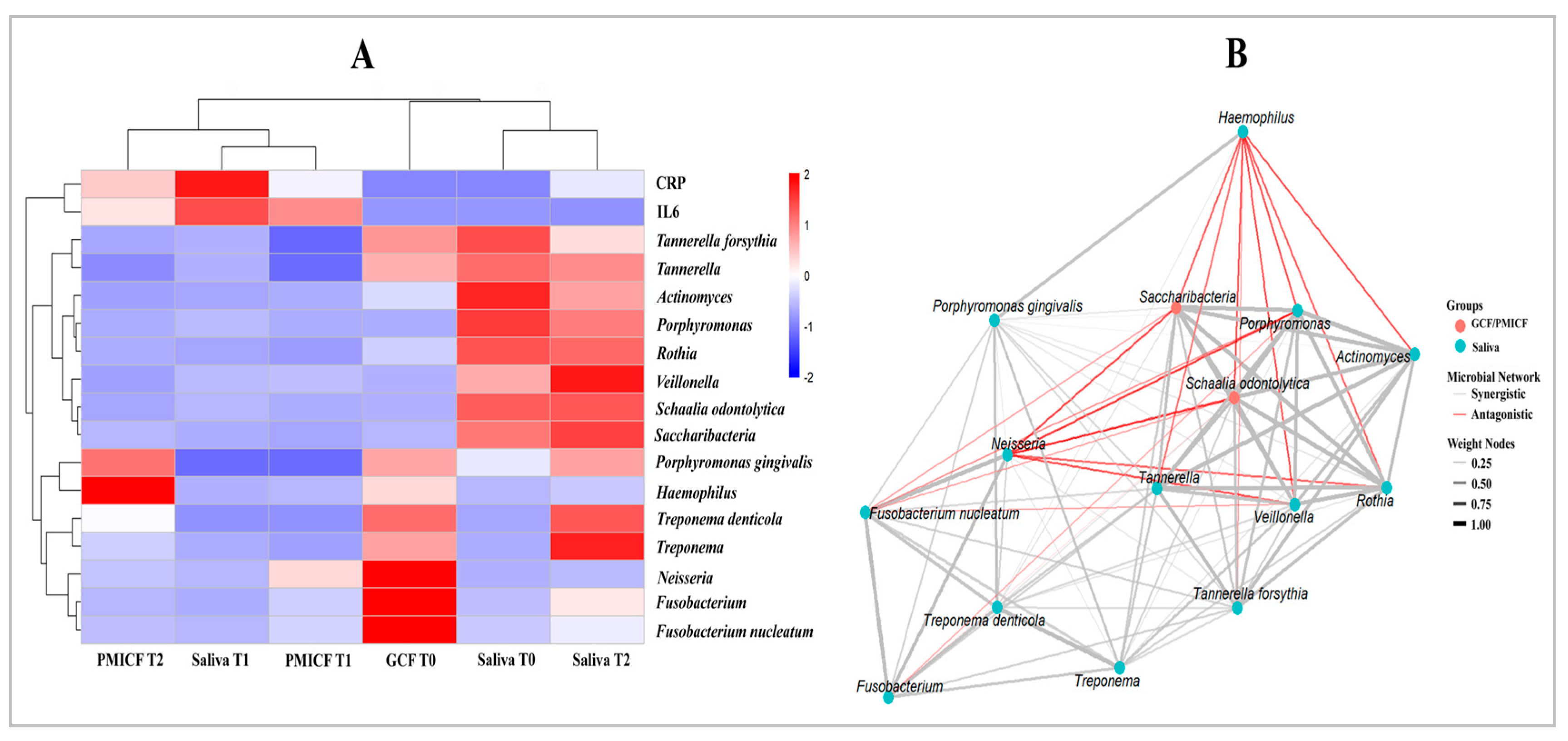 Dentistry 13 00405 g005