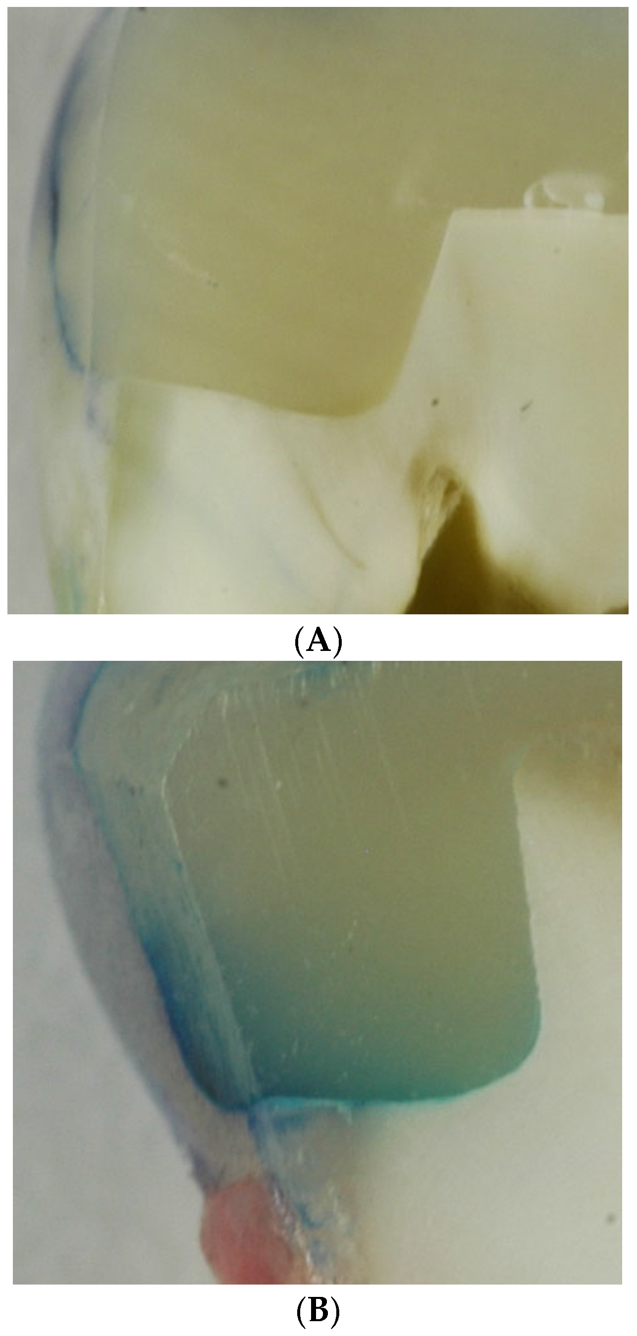 Dentistry 13 00406 g002a
