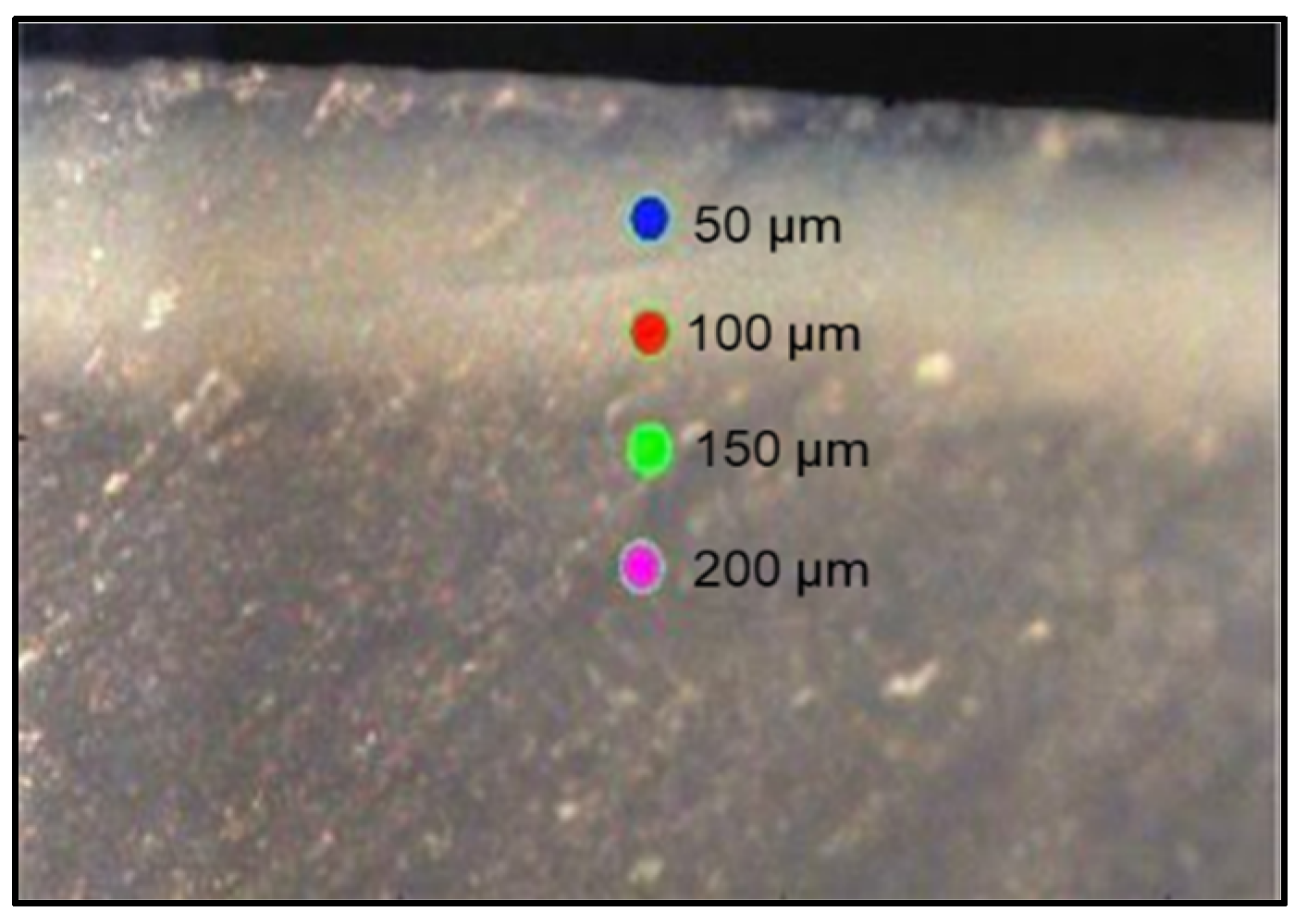 Dentistry 13 00408 g002 Dentistry 13 00408 g002