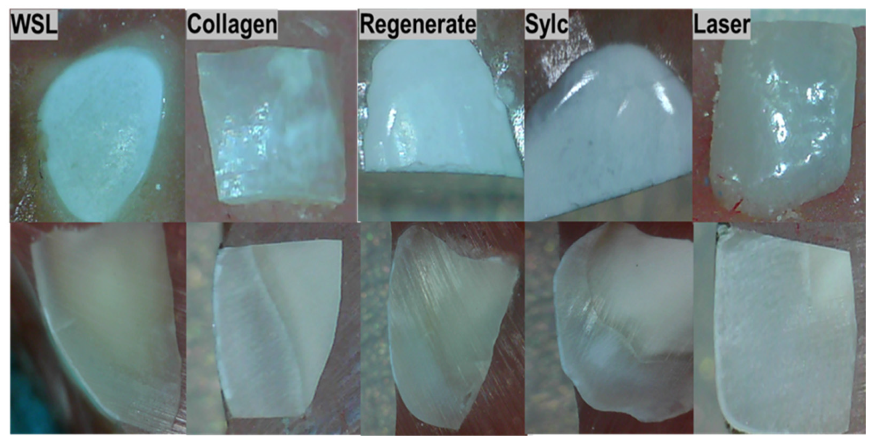 Dentistry 13 00408 g005 Dentistry 13 00408 g005