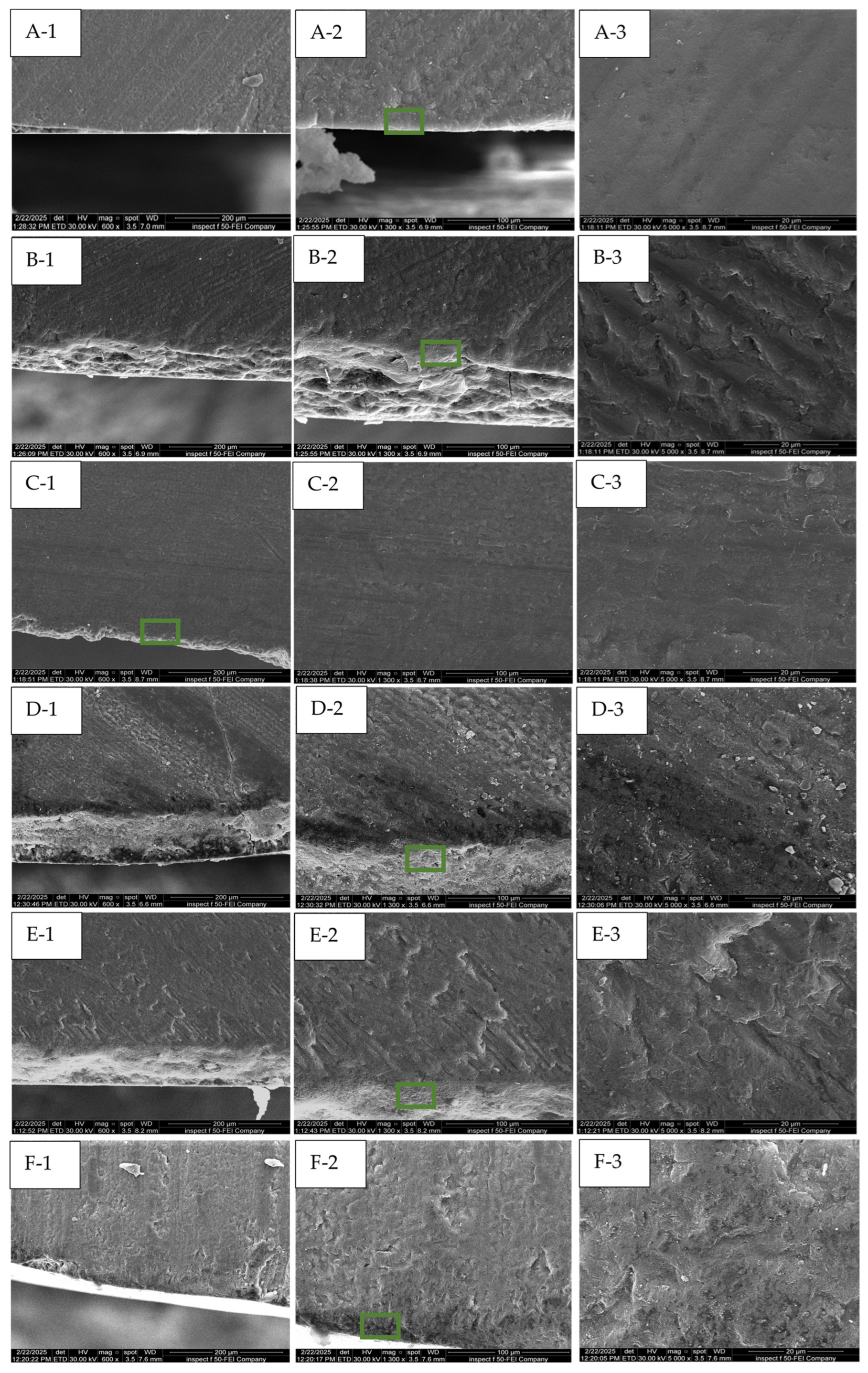 Dentistry 13 00408 g007 Dentistry 13 00408 g007