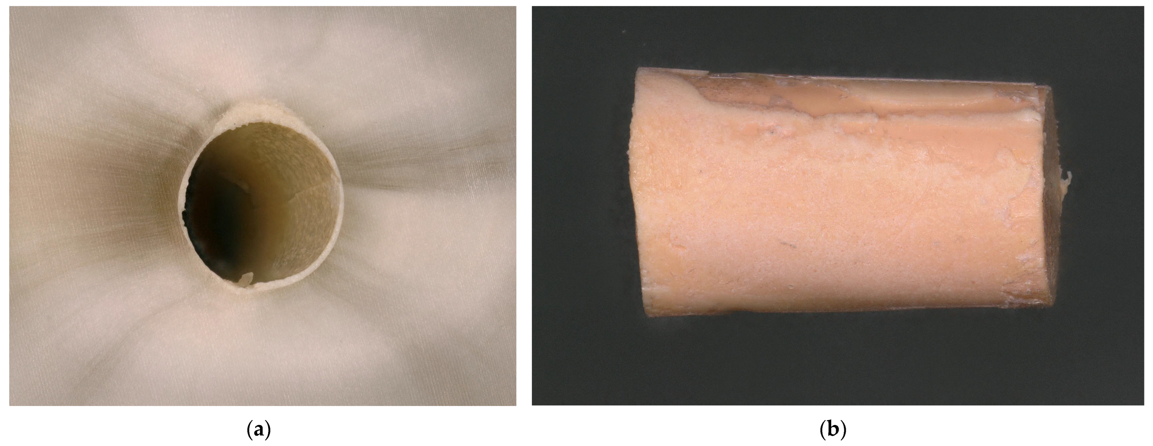 Dentistry 13 00415 g010 Dentistry 13 00415 g010