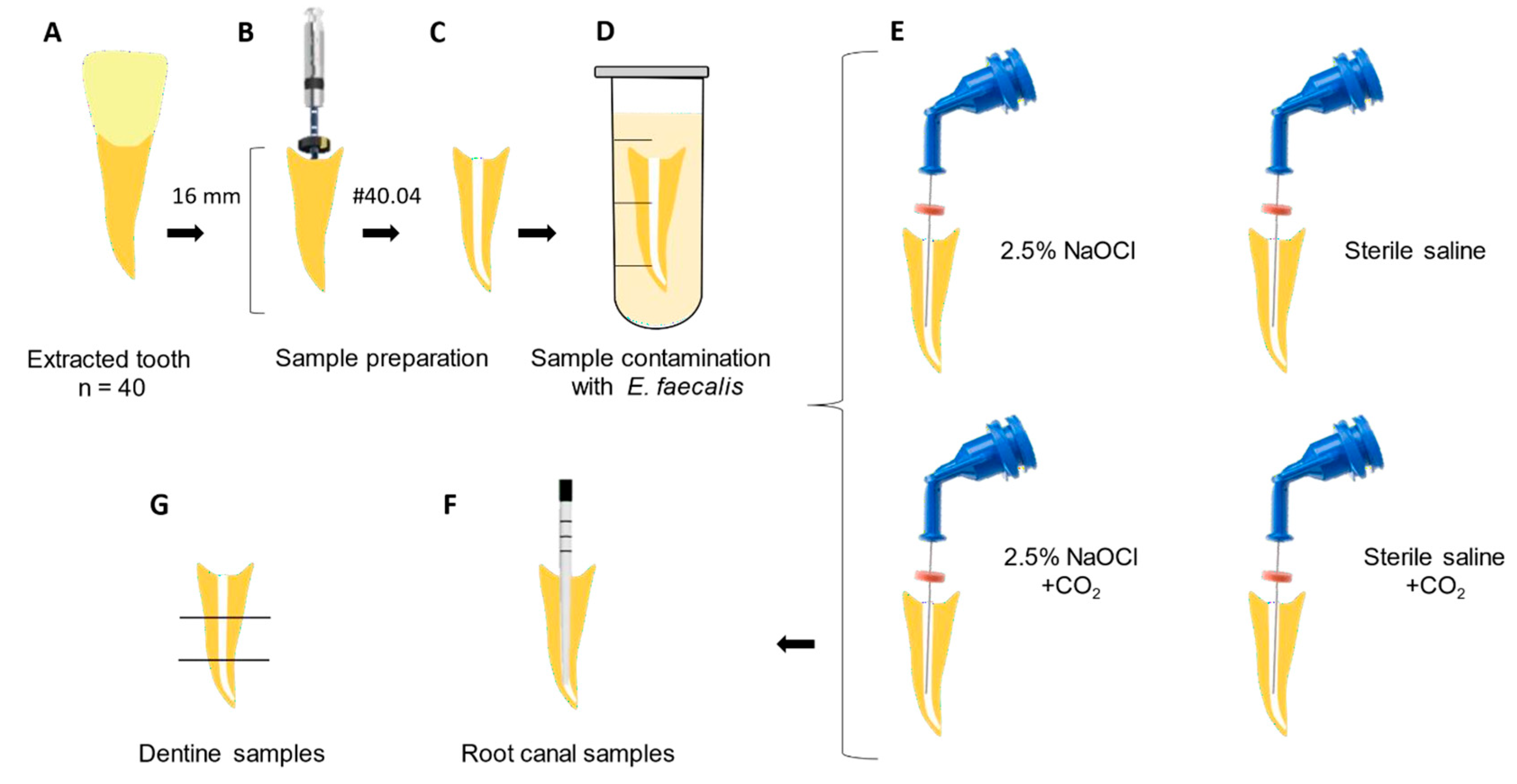Dentistry 13 00417 g001 Dentistry 13 00417 g001