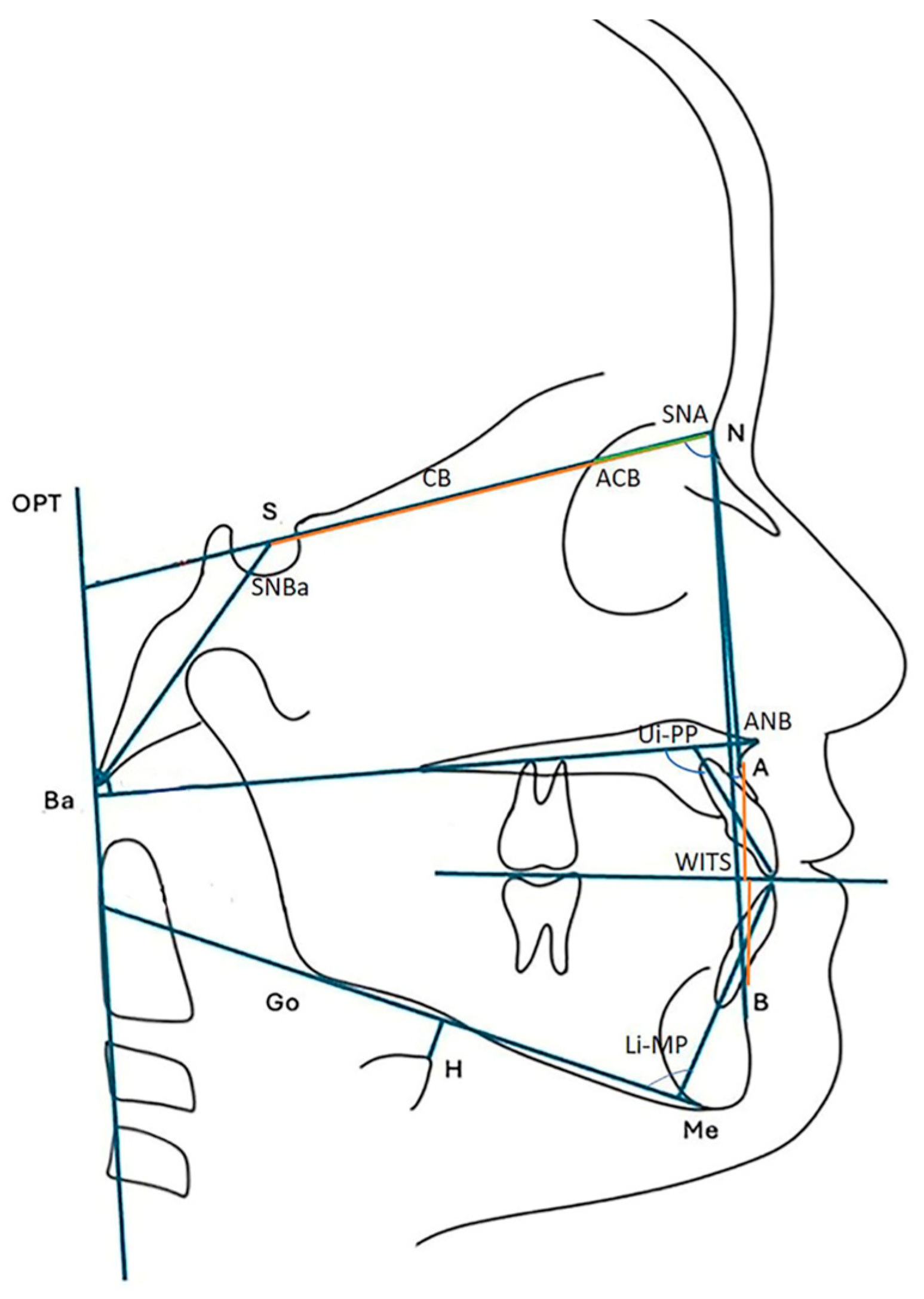 Dentistry 13 00427 g002