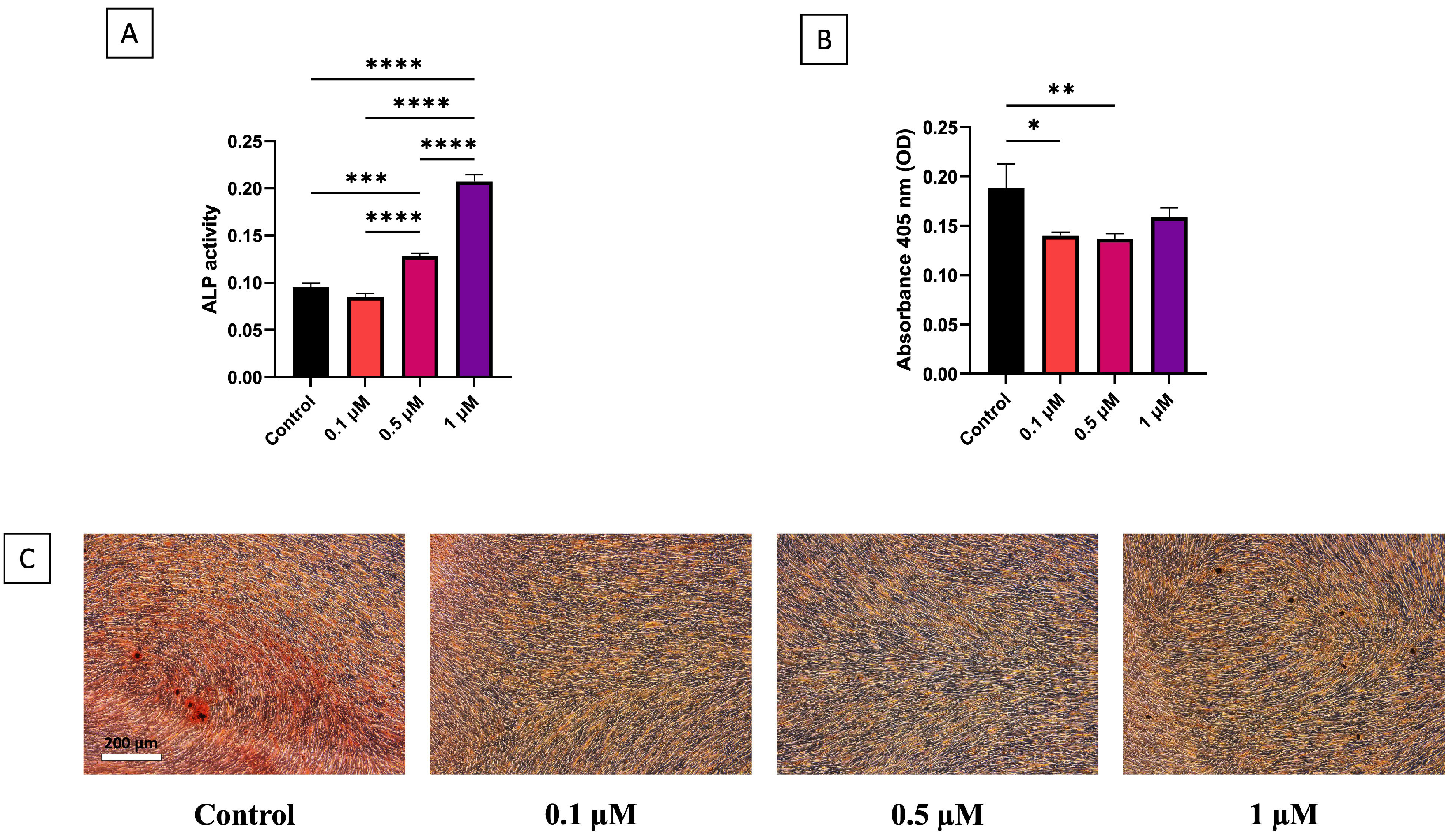 Dentistry 13 00428 g002
