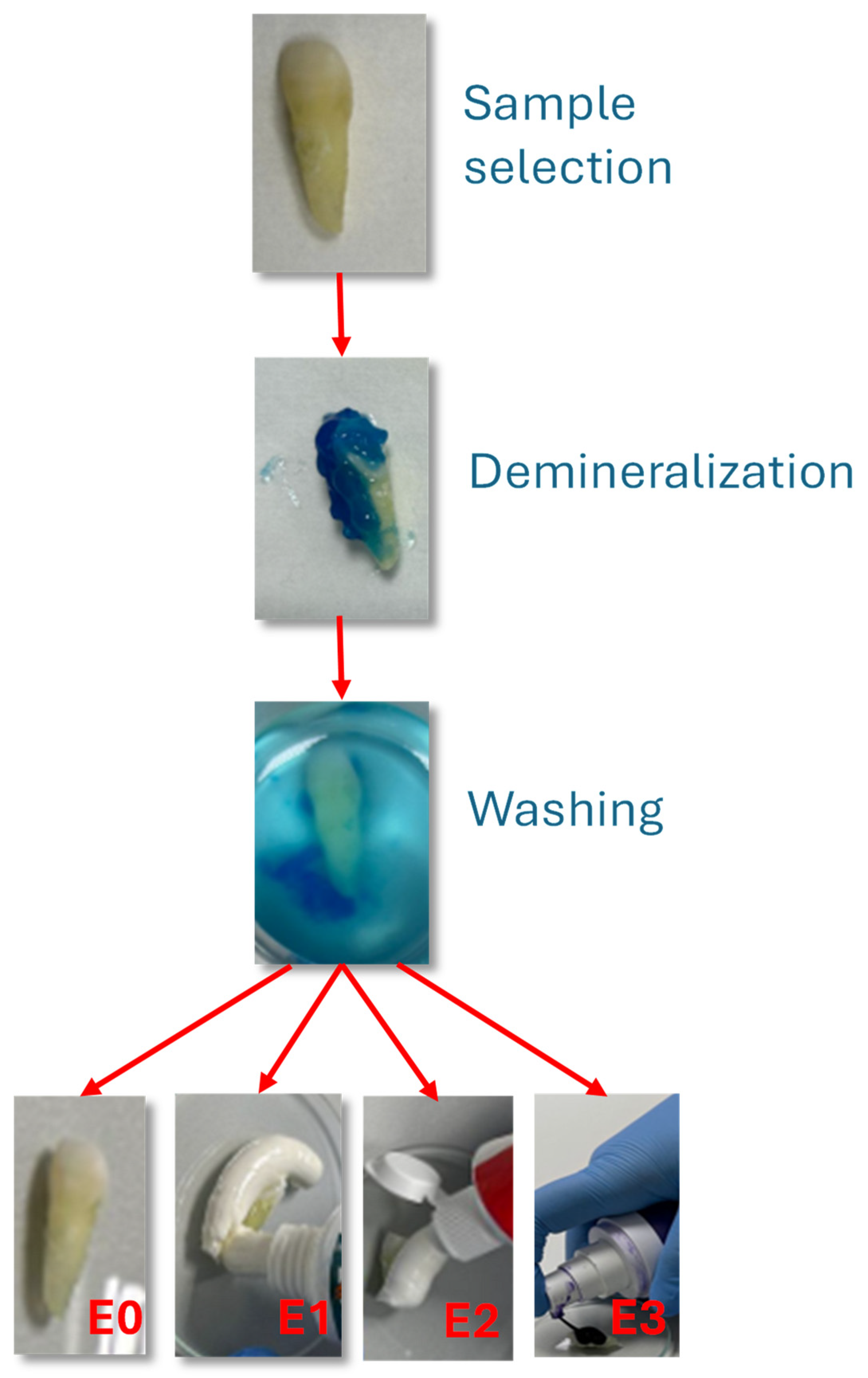 Dentistry 13 00443 g001