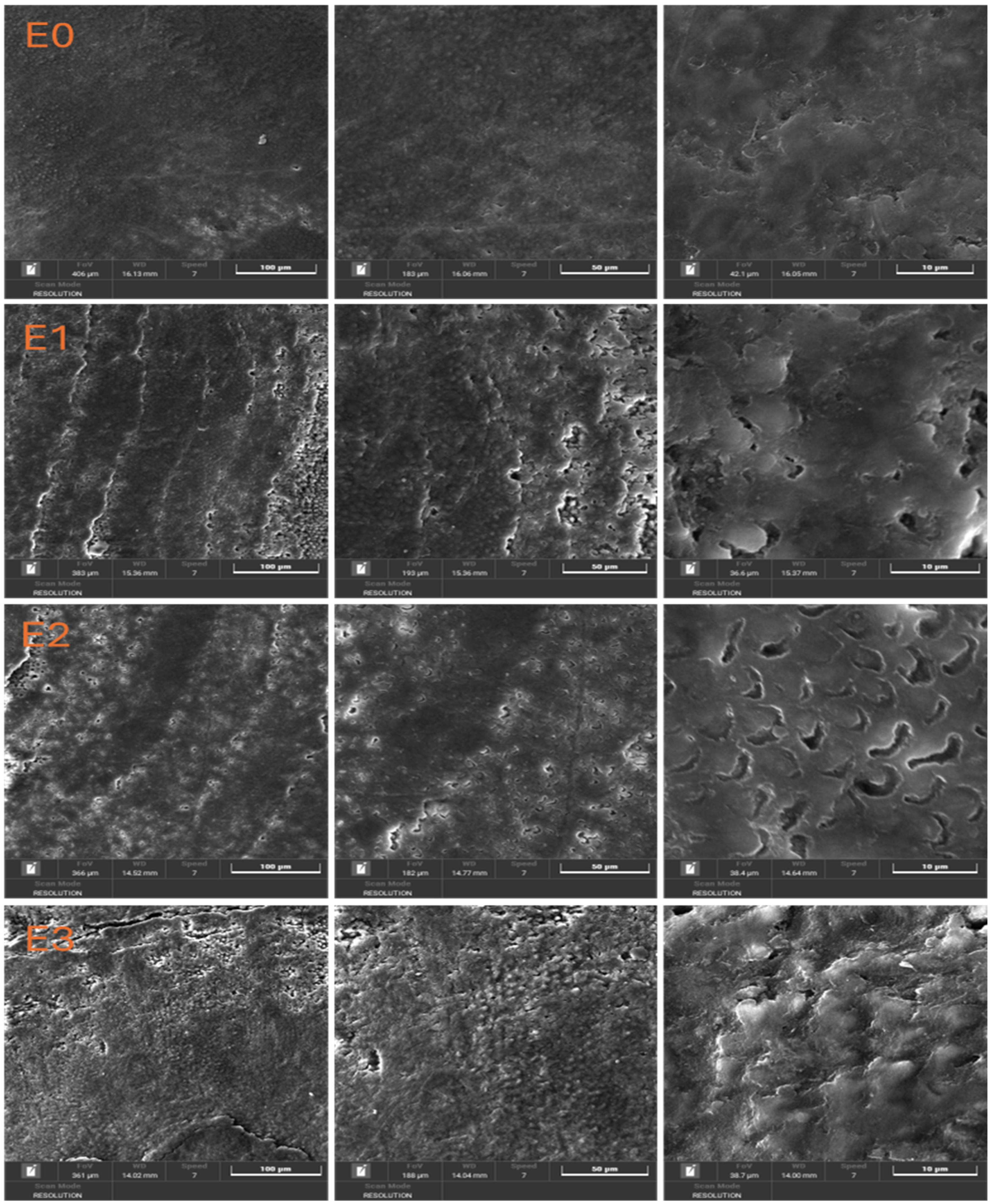 Dentistry 13 00443 g002