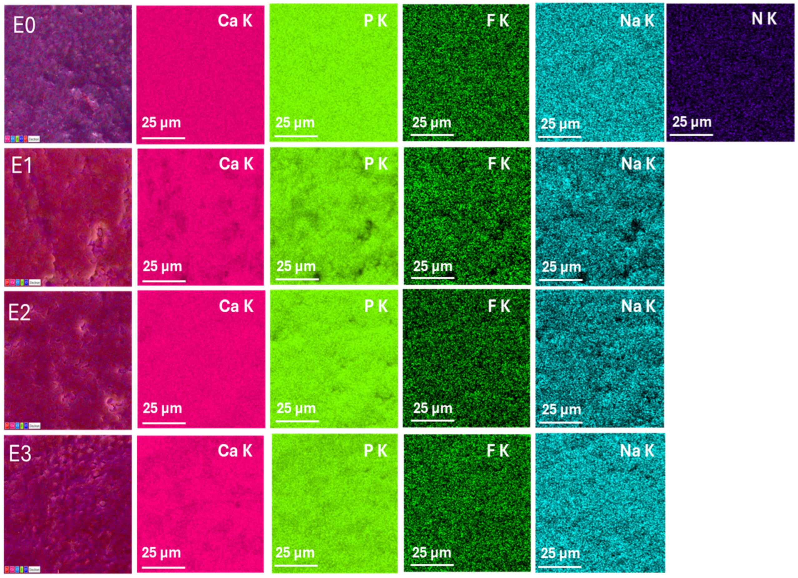 Dentistry 13 00443 g003