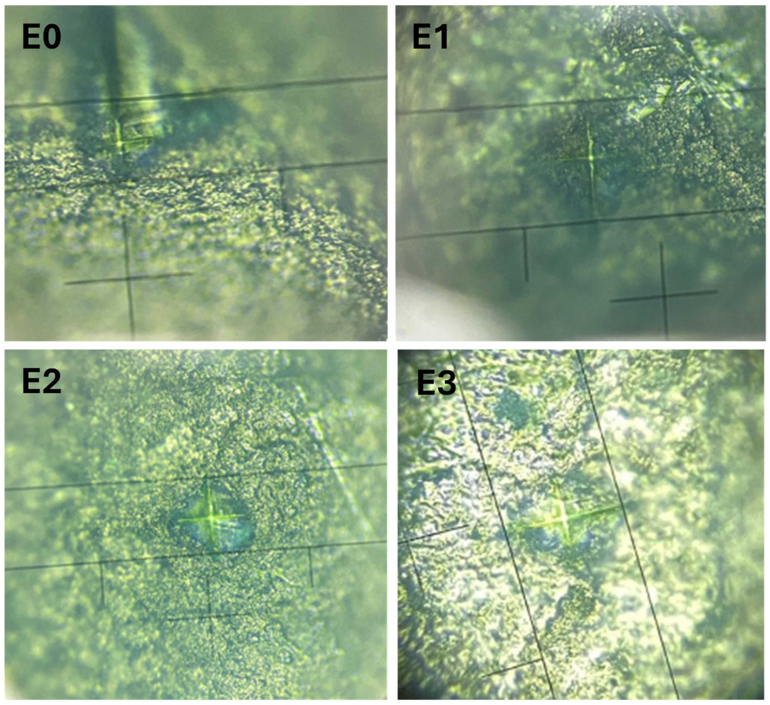 Dentistry 13 00443 g005
