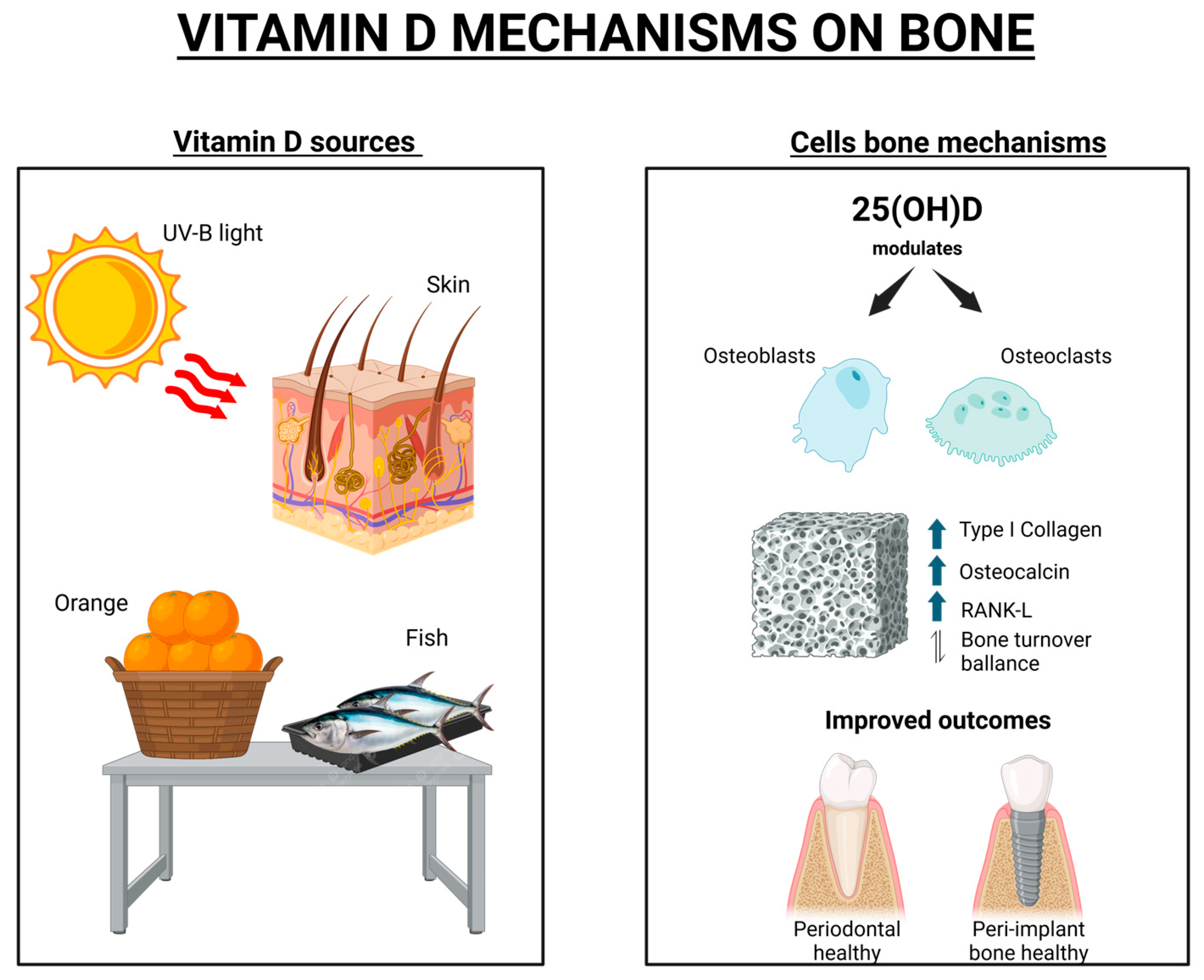 Dentistry 13 00448 g001