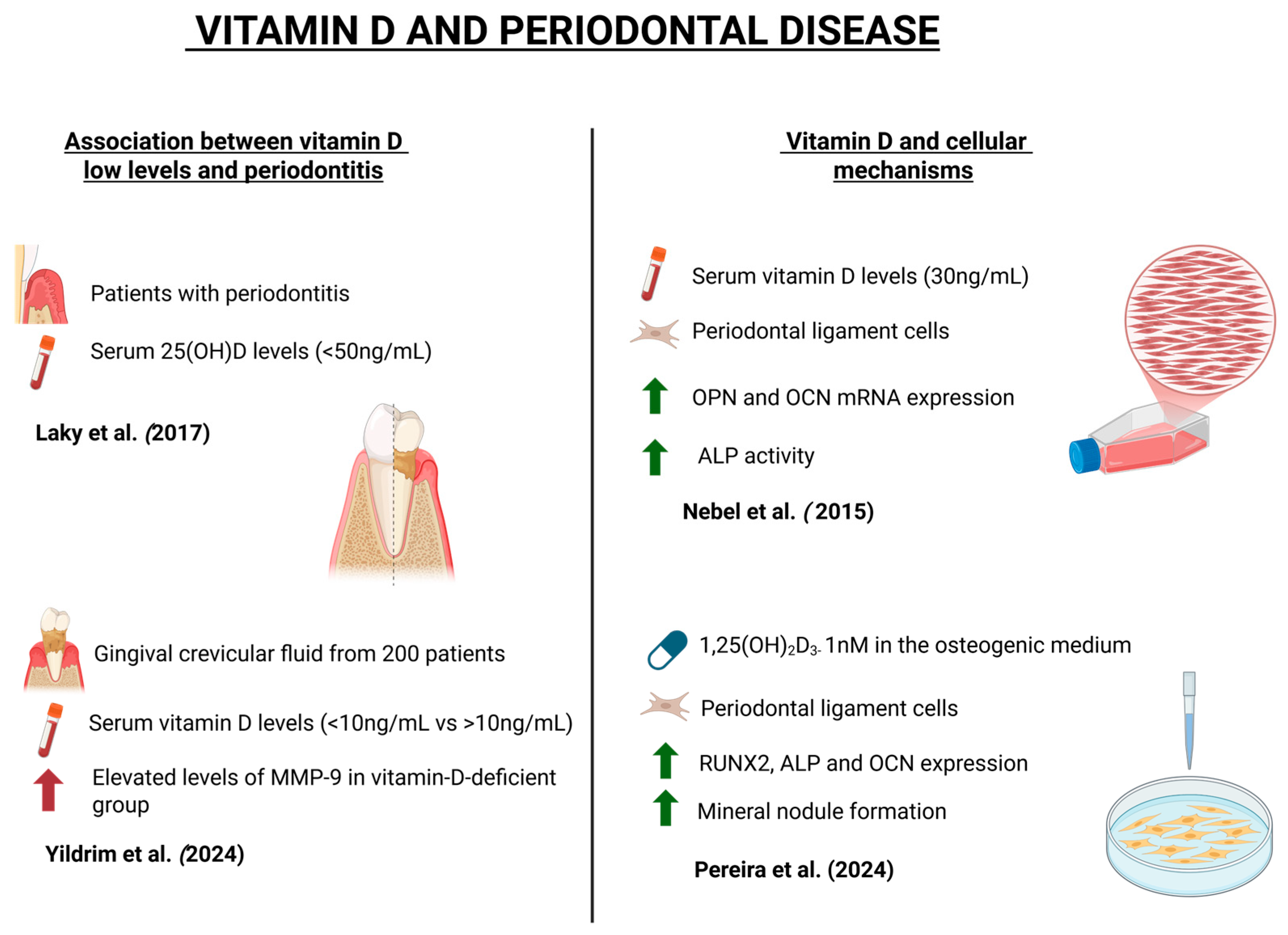 Dentistry 13 00448 g003