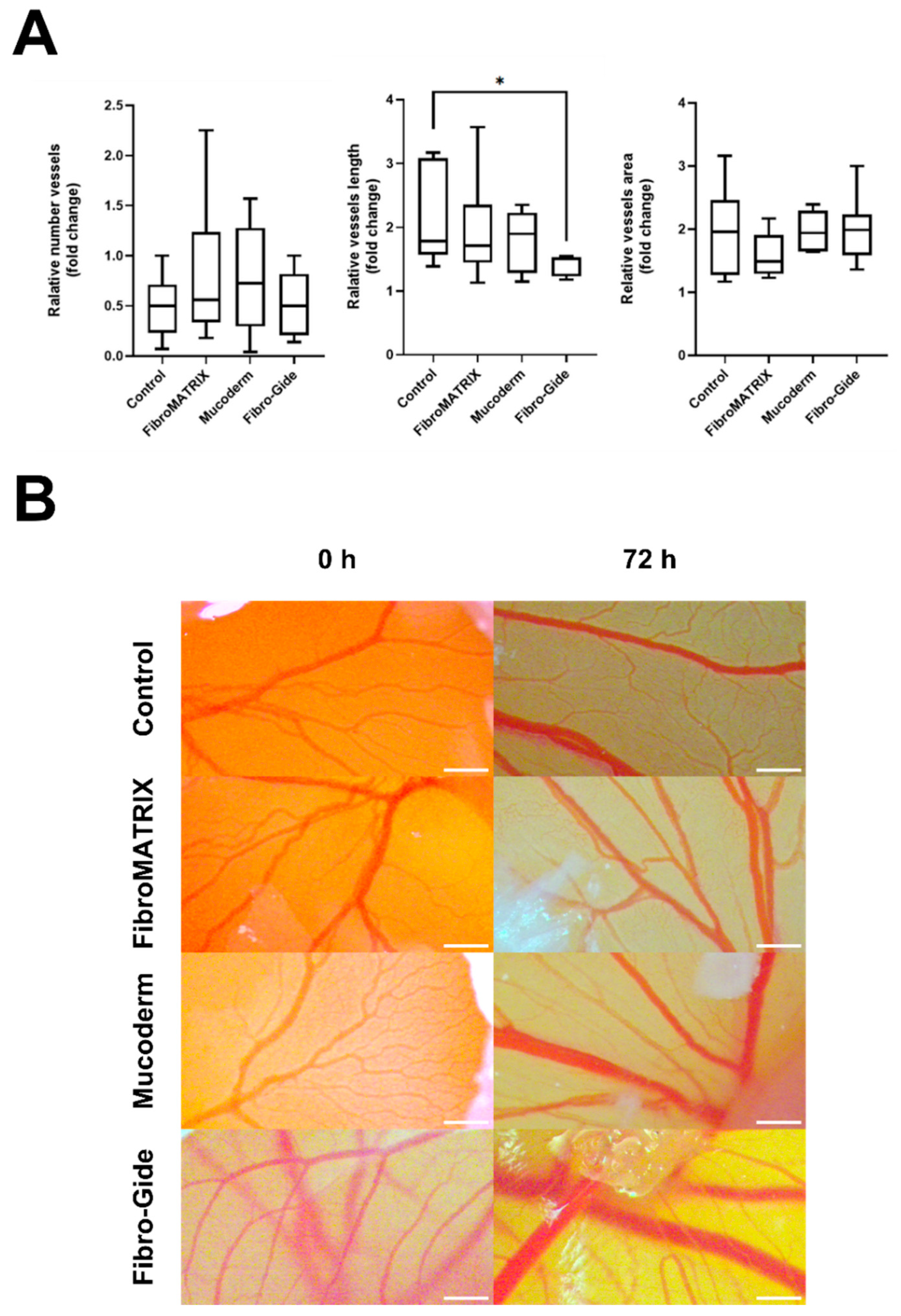 Dentistry 13 00460 g004