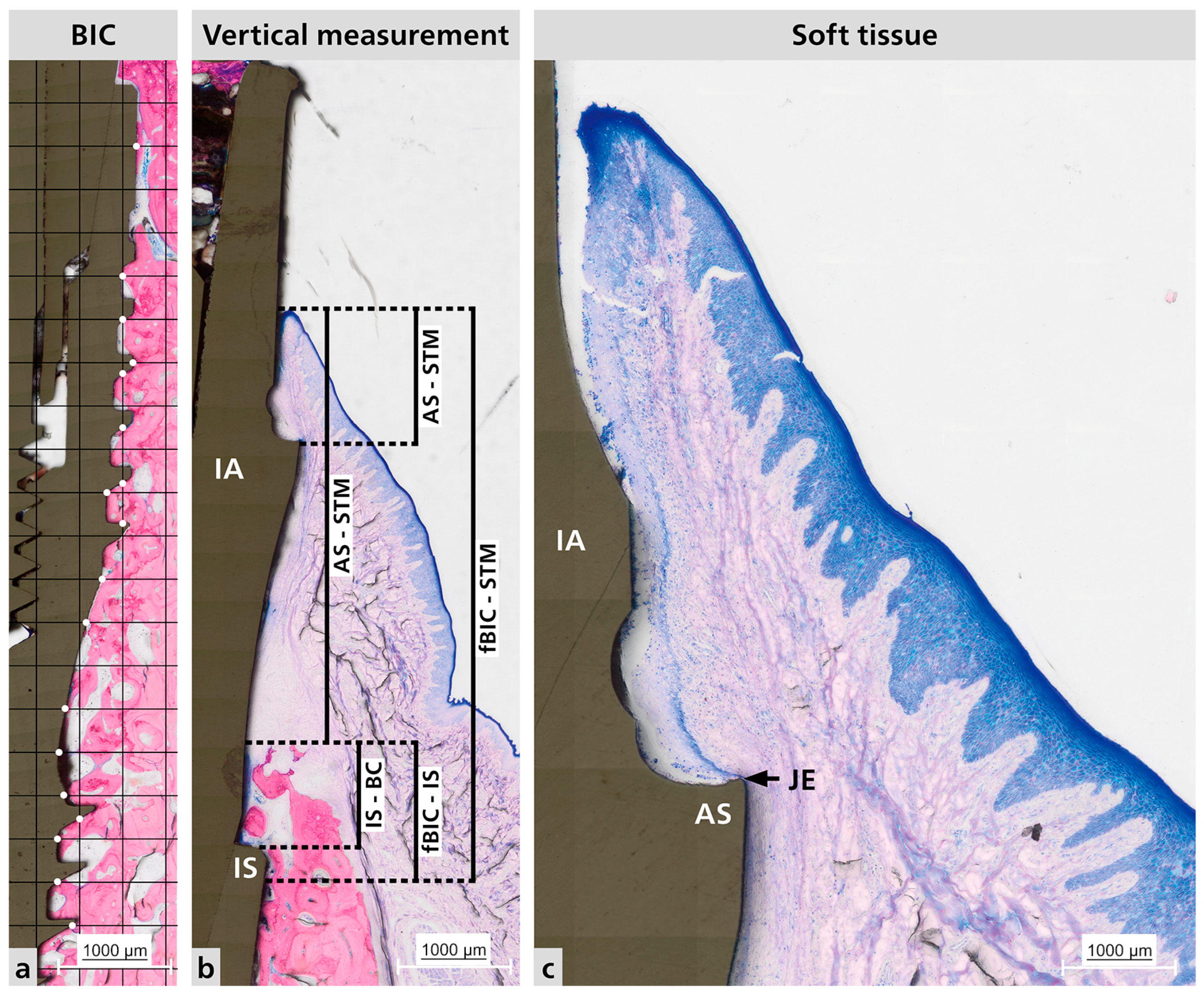 Dentistry 13 00463 g003
