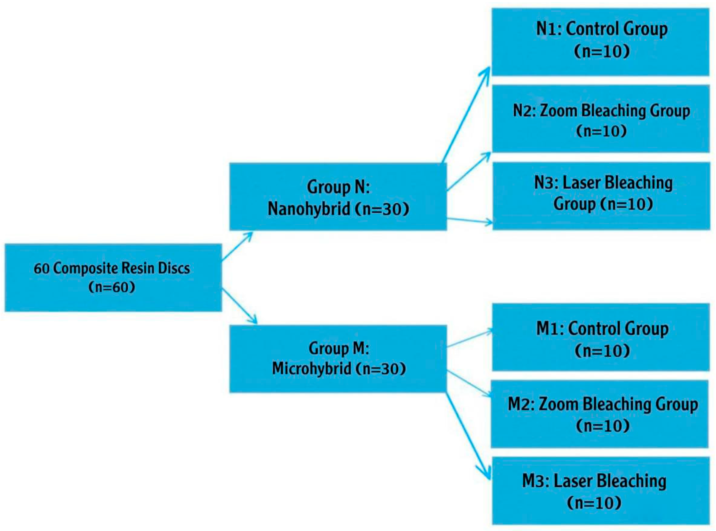 Dentistry 13 00470 g002