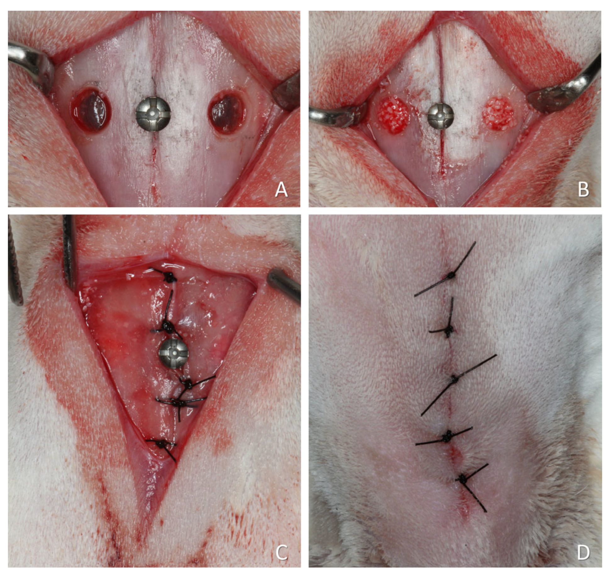 Dentistry 13 00472 g002