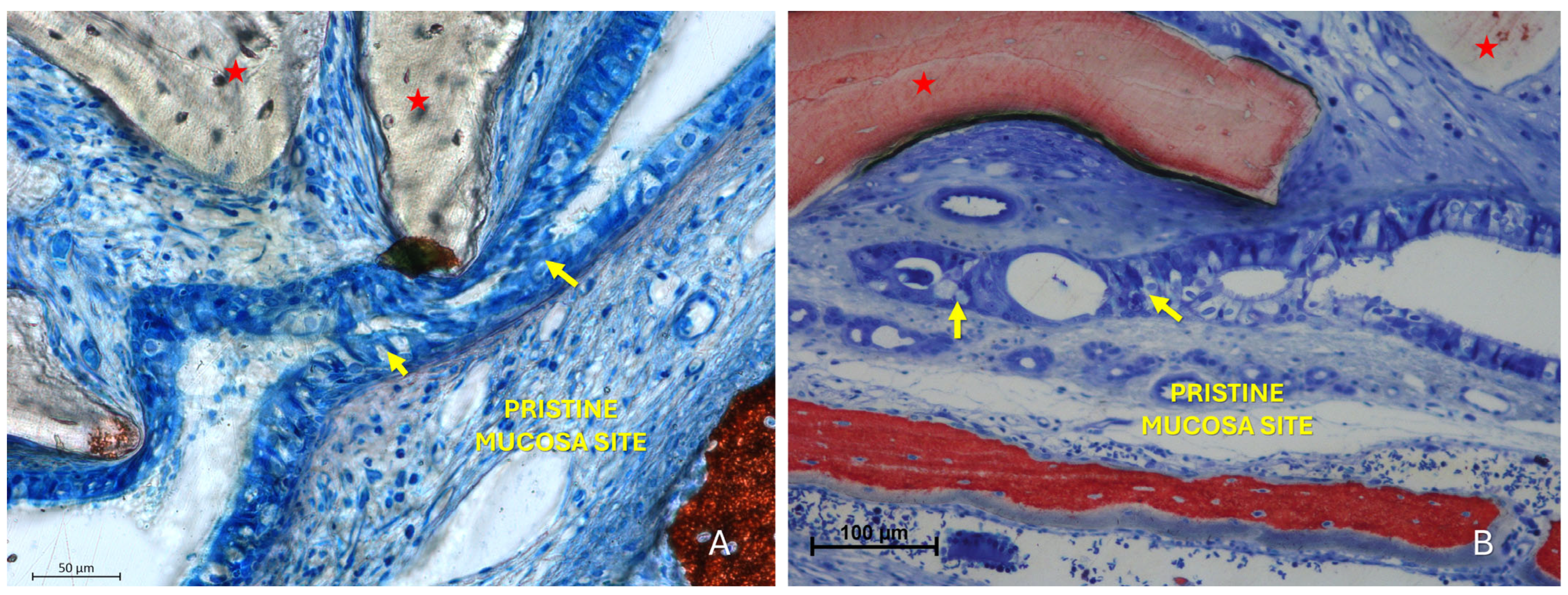Dentistry 13 00472 g006