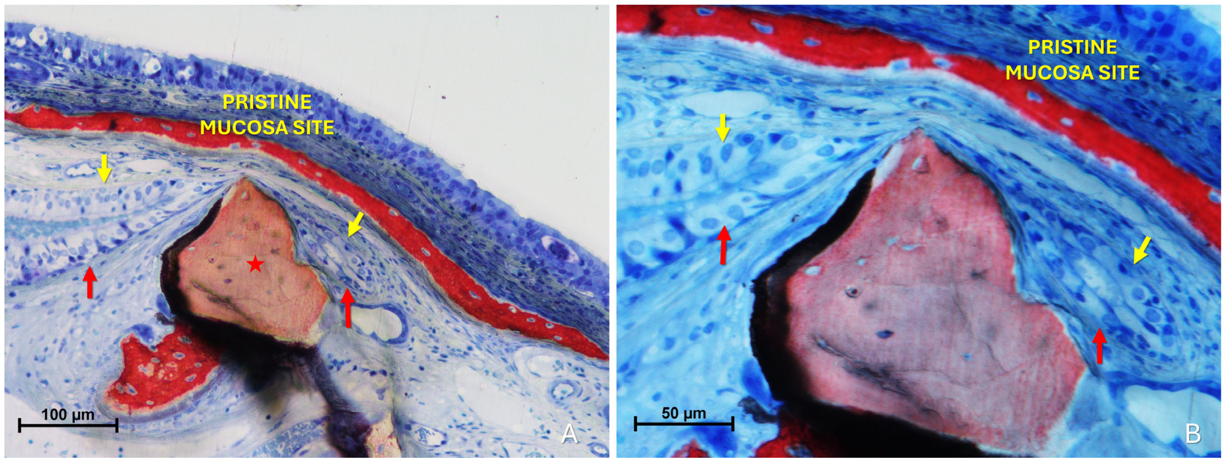 Dentistry 13 00472 g008