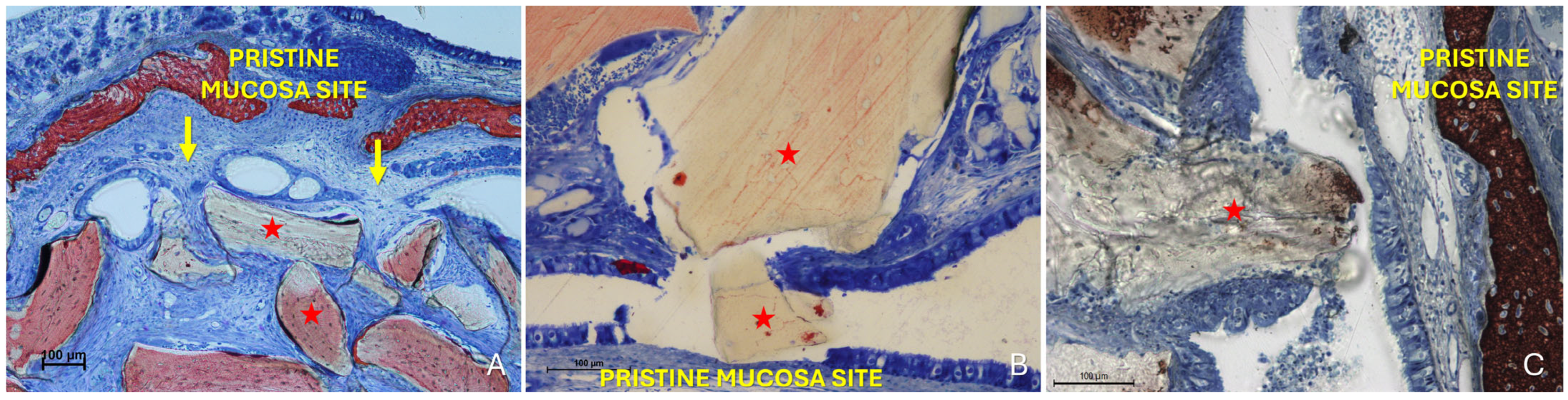 Dentistry 13 00472 g009