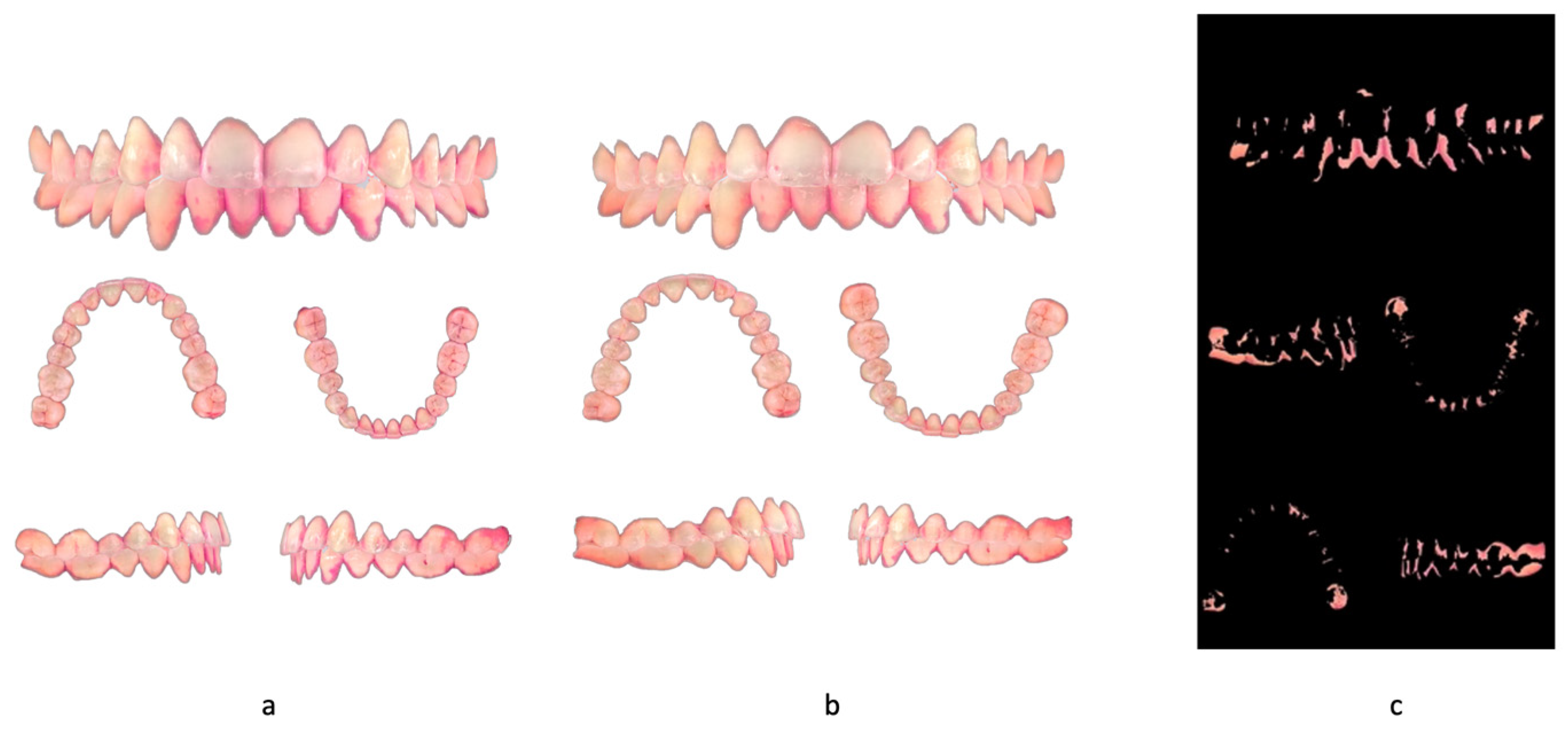 Dentistry 13 00474 g001