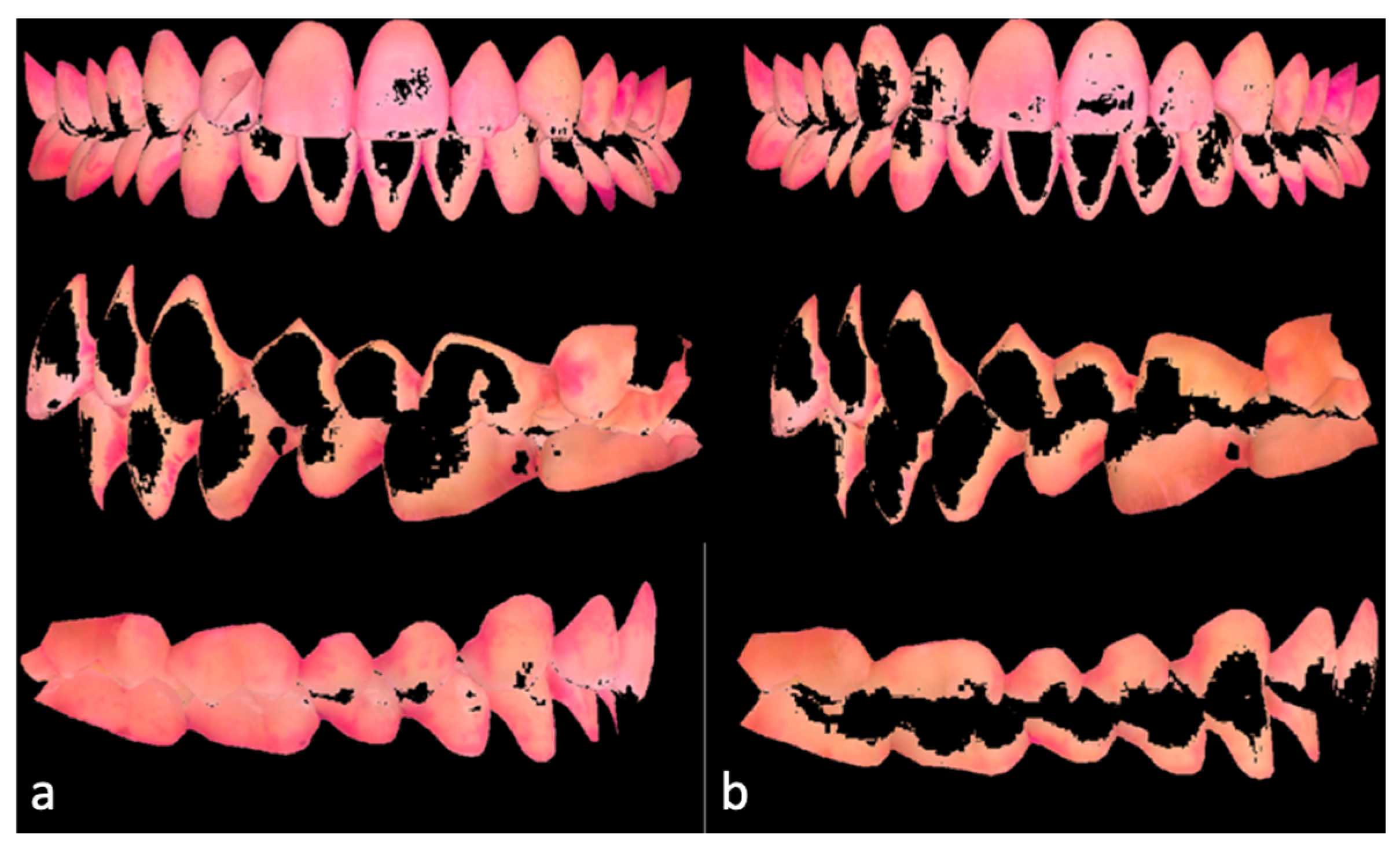 Dentistry 13 00474 g002