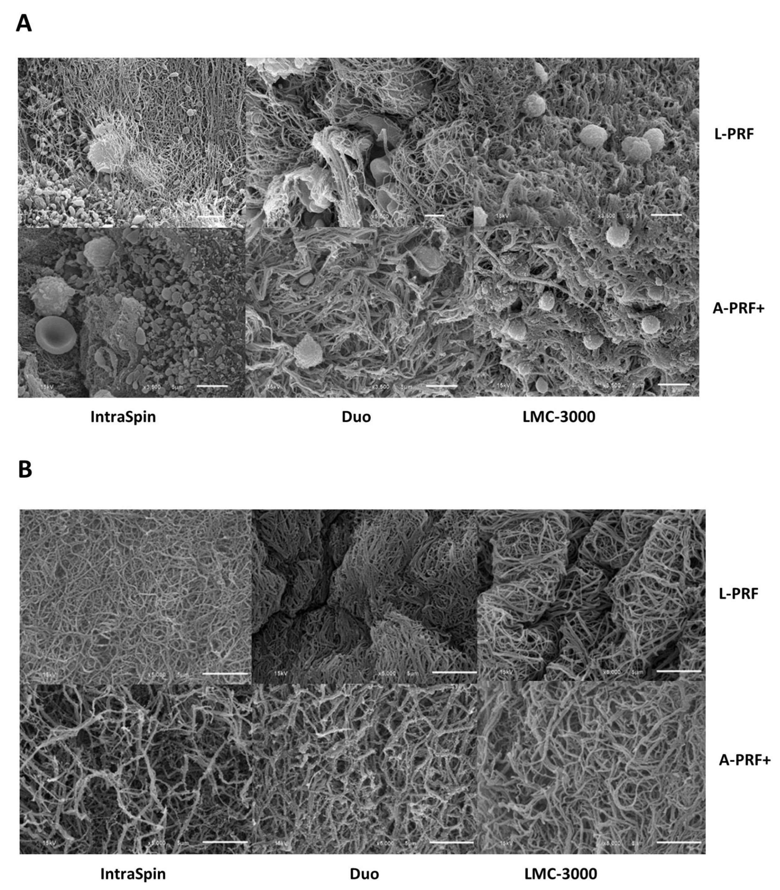 Dentistry 13 00476 g003