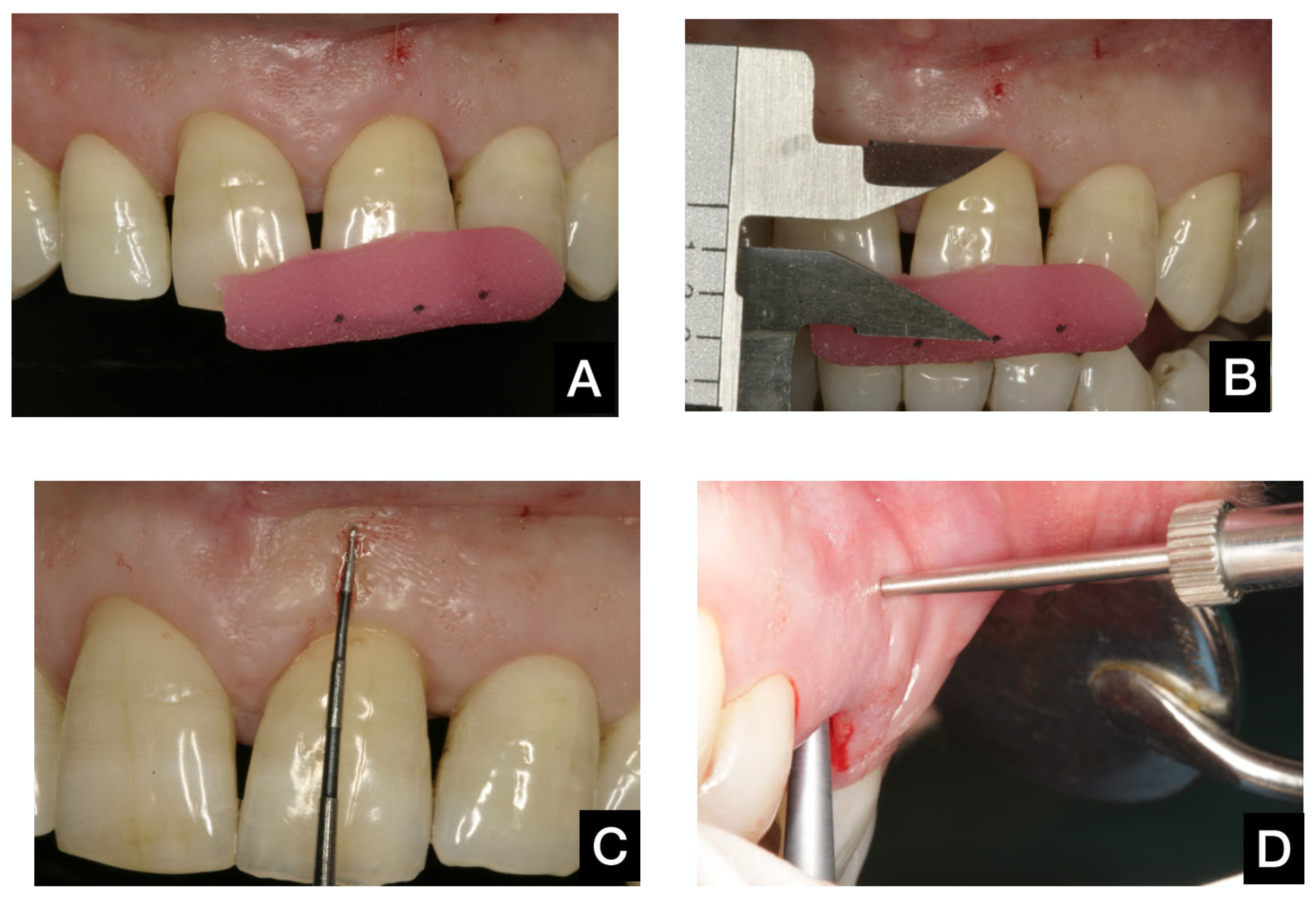 Dentistry 13 00478 g002