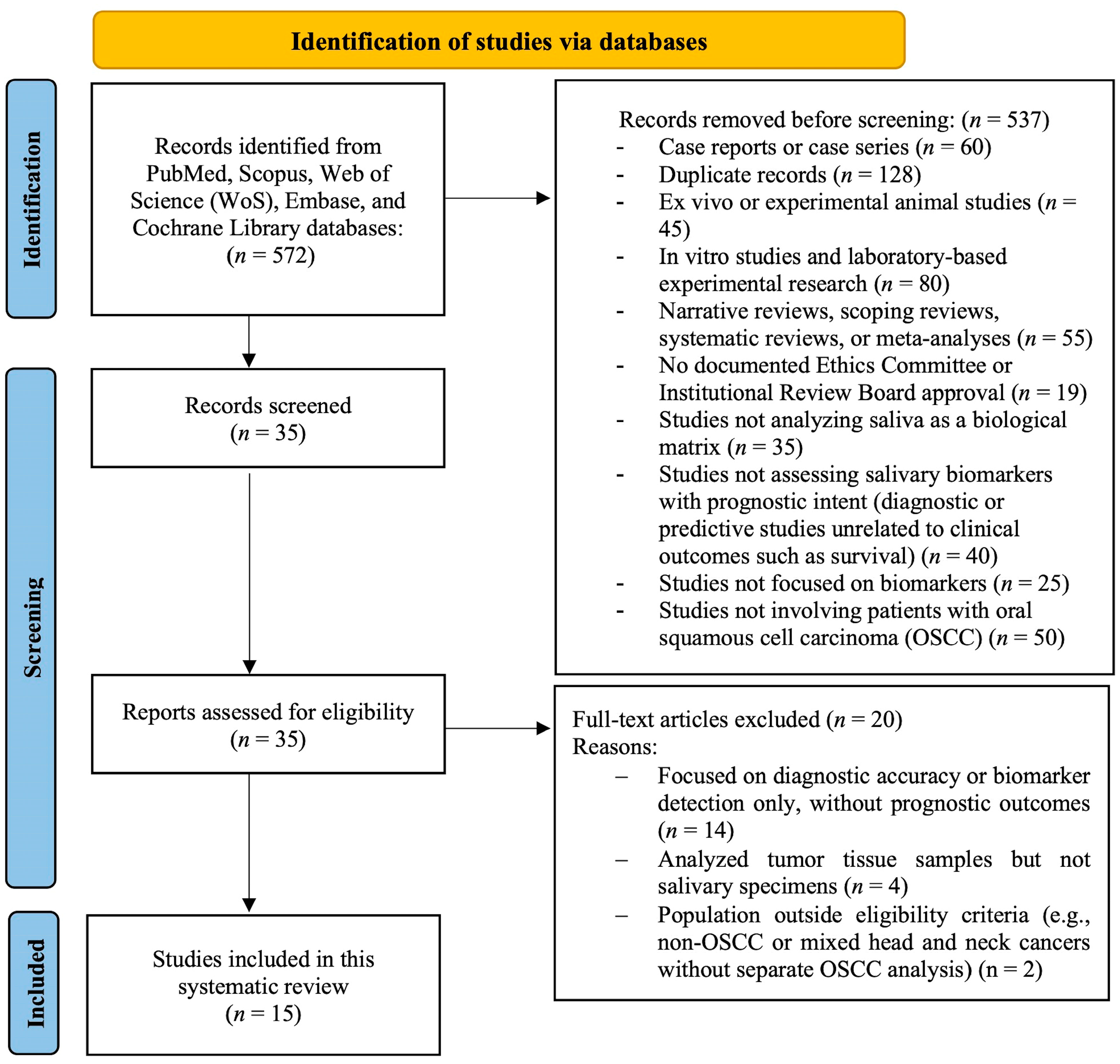 Dentistry 13 00479 g001