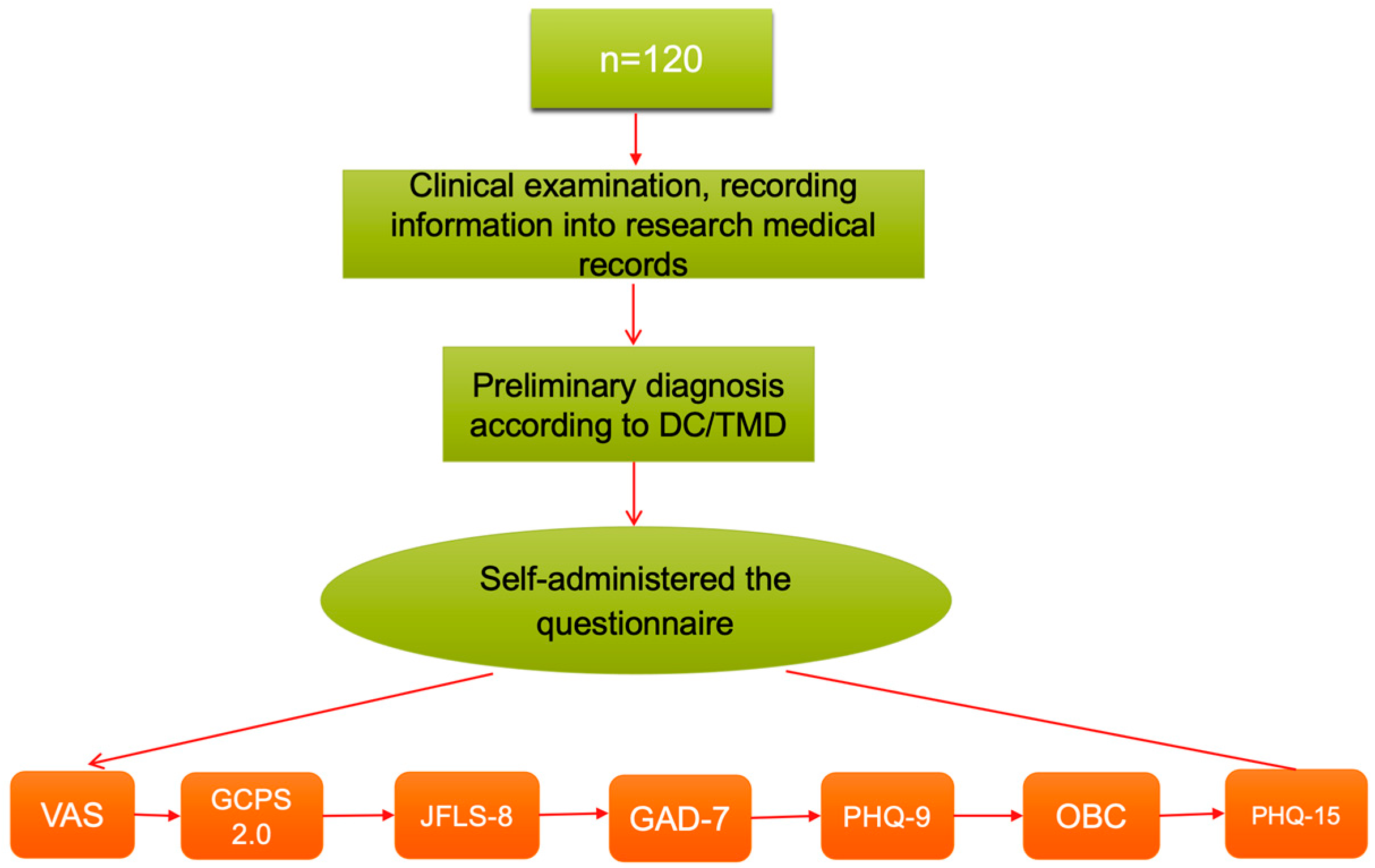 Dentistry 13 00480 g001