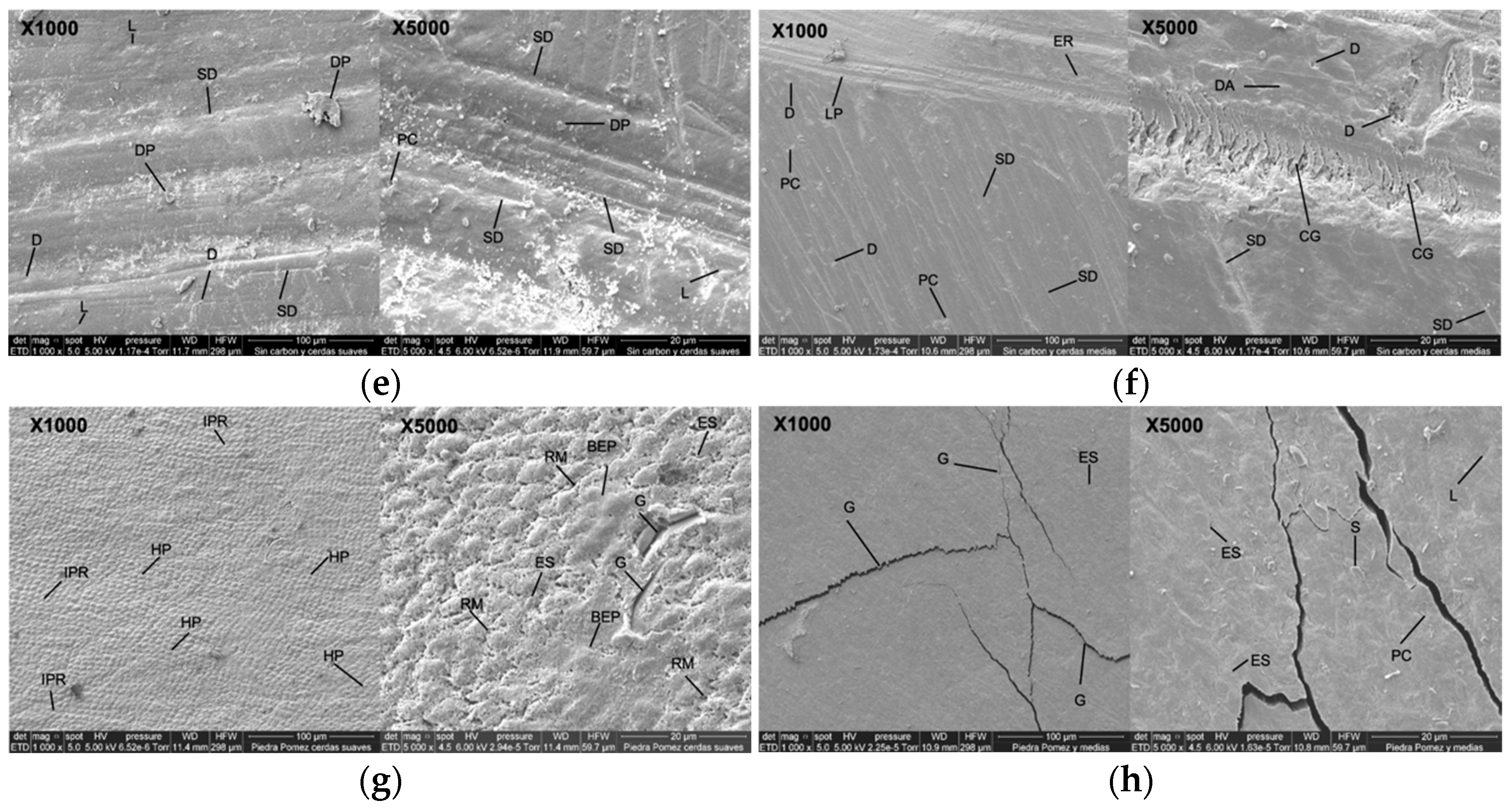 Dentistry 13 00482 g004b Dentistry 13 00482 g004b