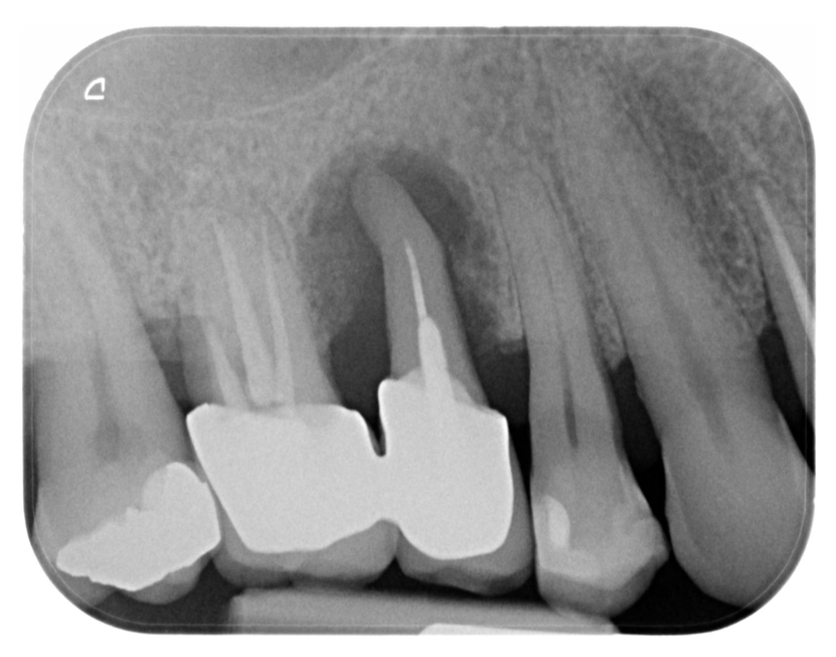 Dentistry 13 00483 g001