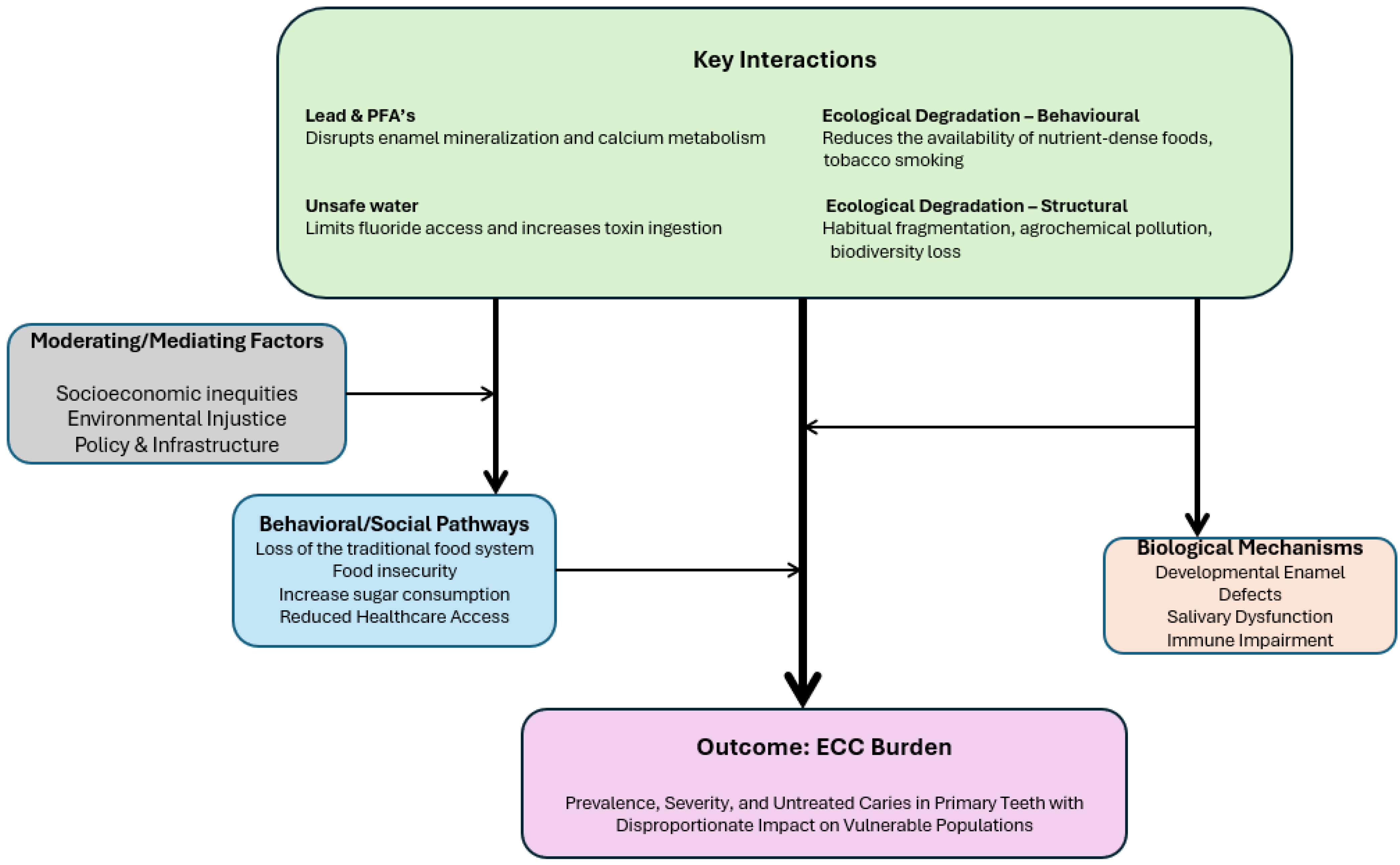 Dentistry 13 00484 g001