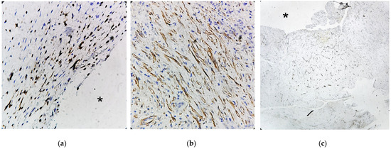 Dentistry 13 00491 g0a1