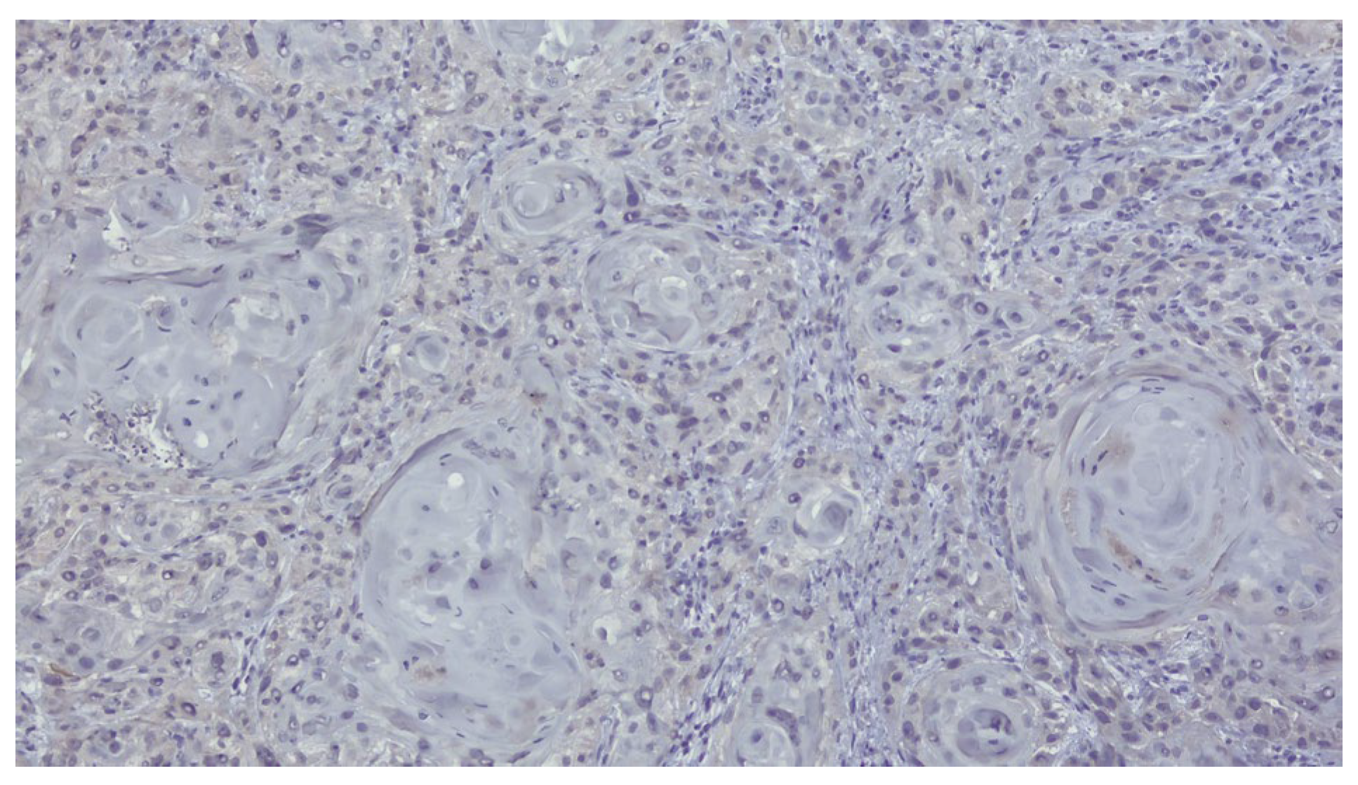 Dentistry 13 00499 g002