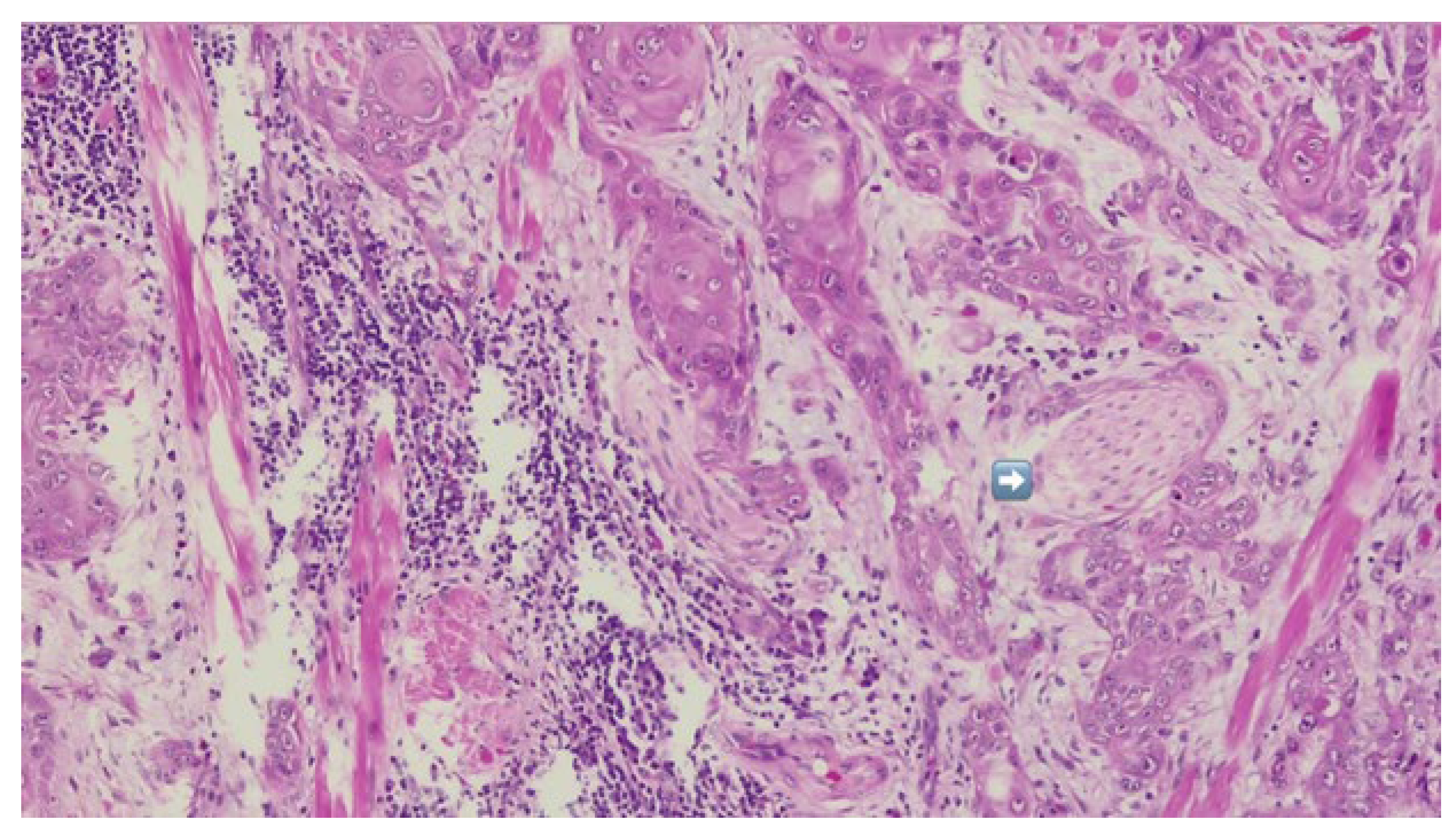 Dentistry 13 00499 g007