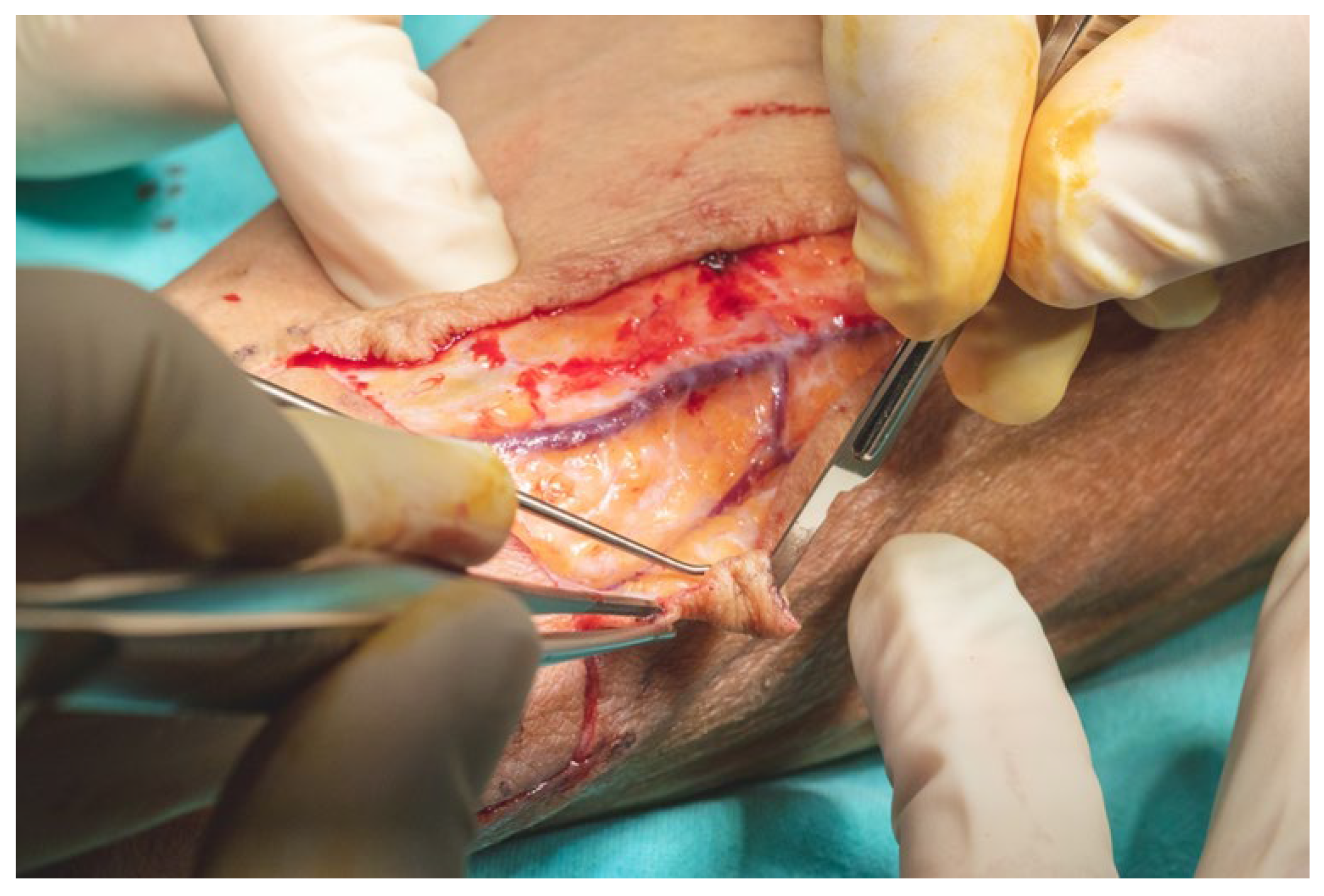 Dentistry 13 00499 g010