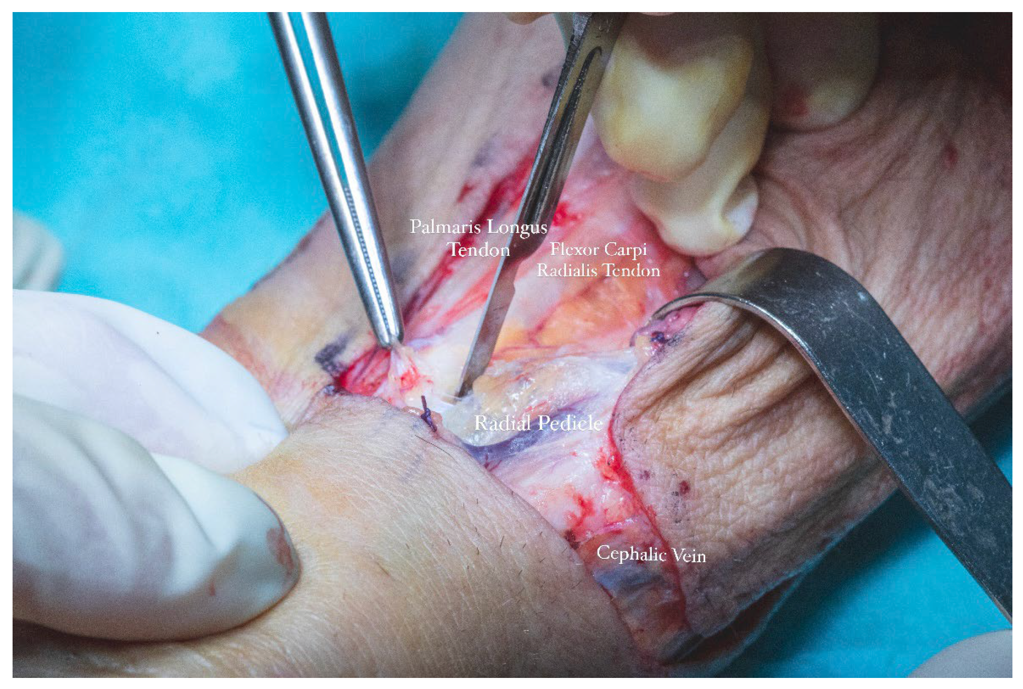 Dentistry 13 00499 g011