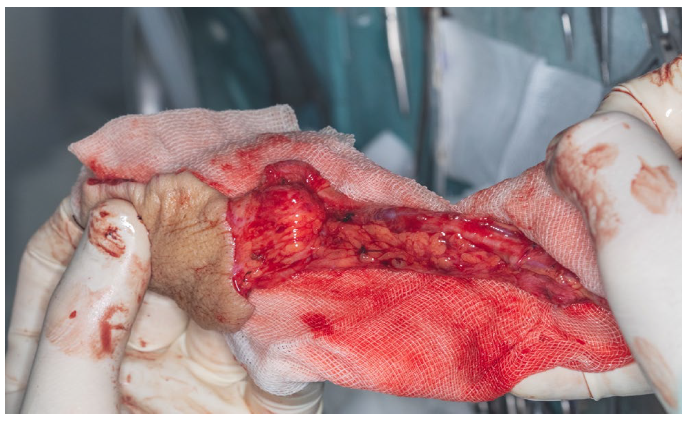 Dentistry 13 00499 g016