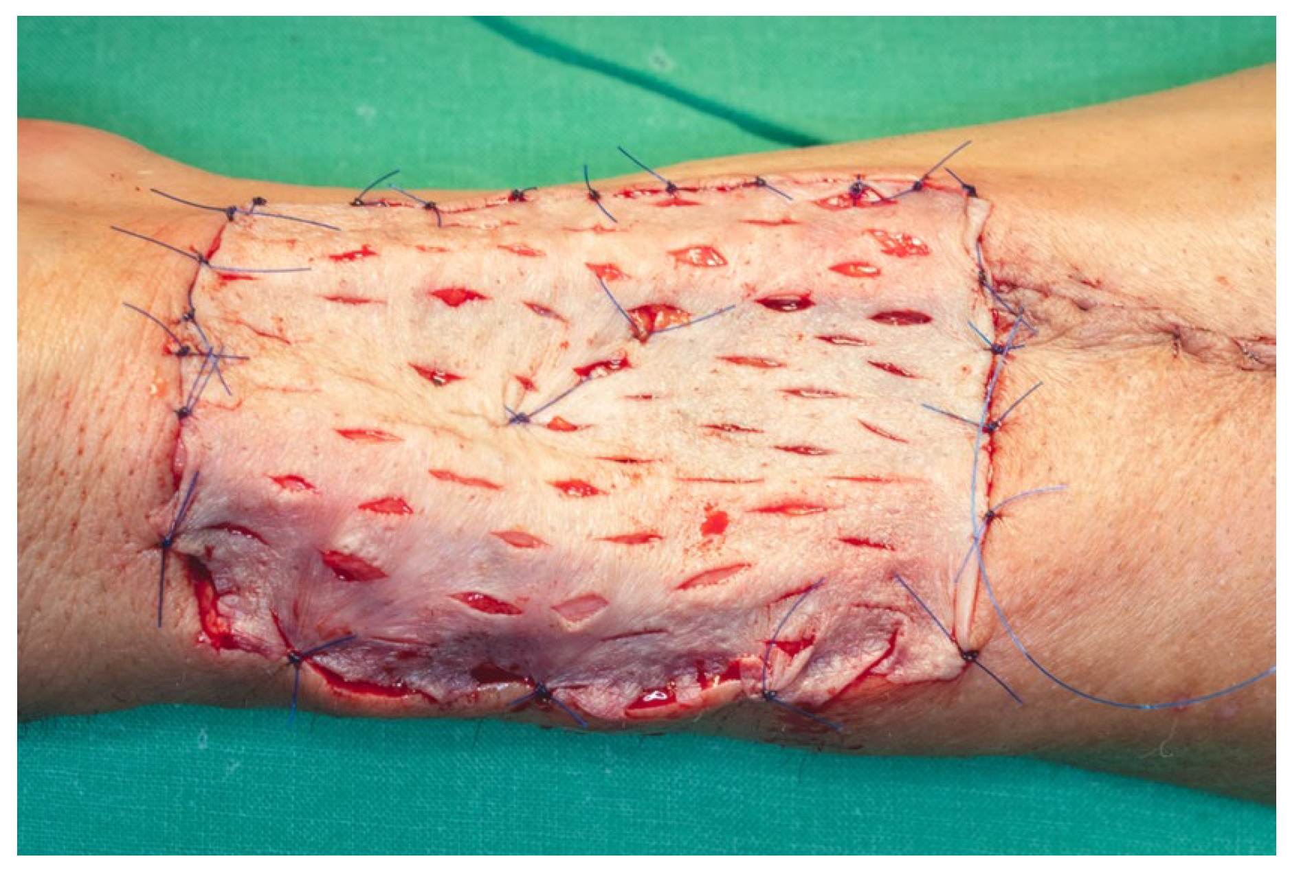 Dentistry 13 00499 g021