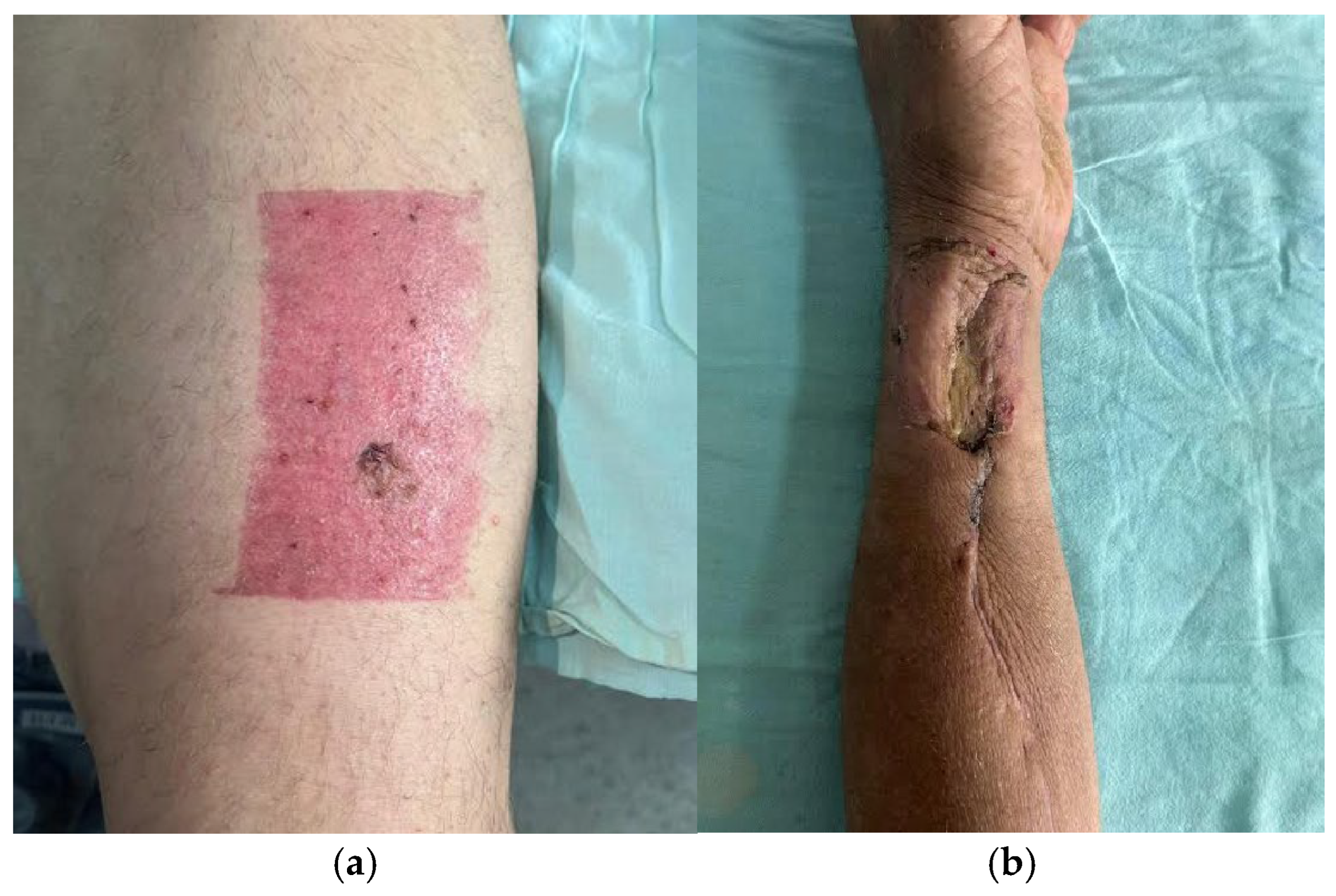 Dentistry 13 00499 g025