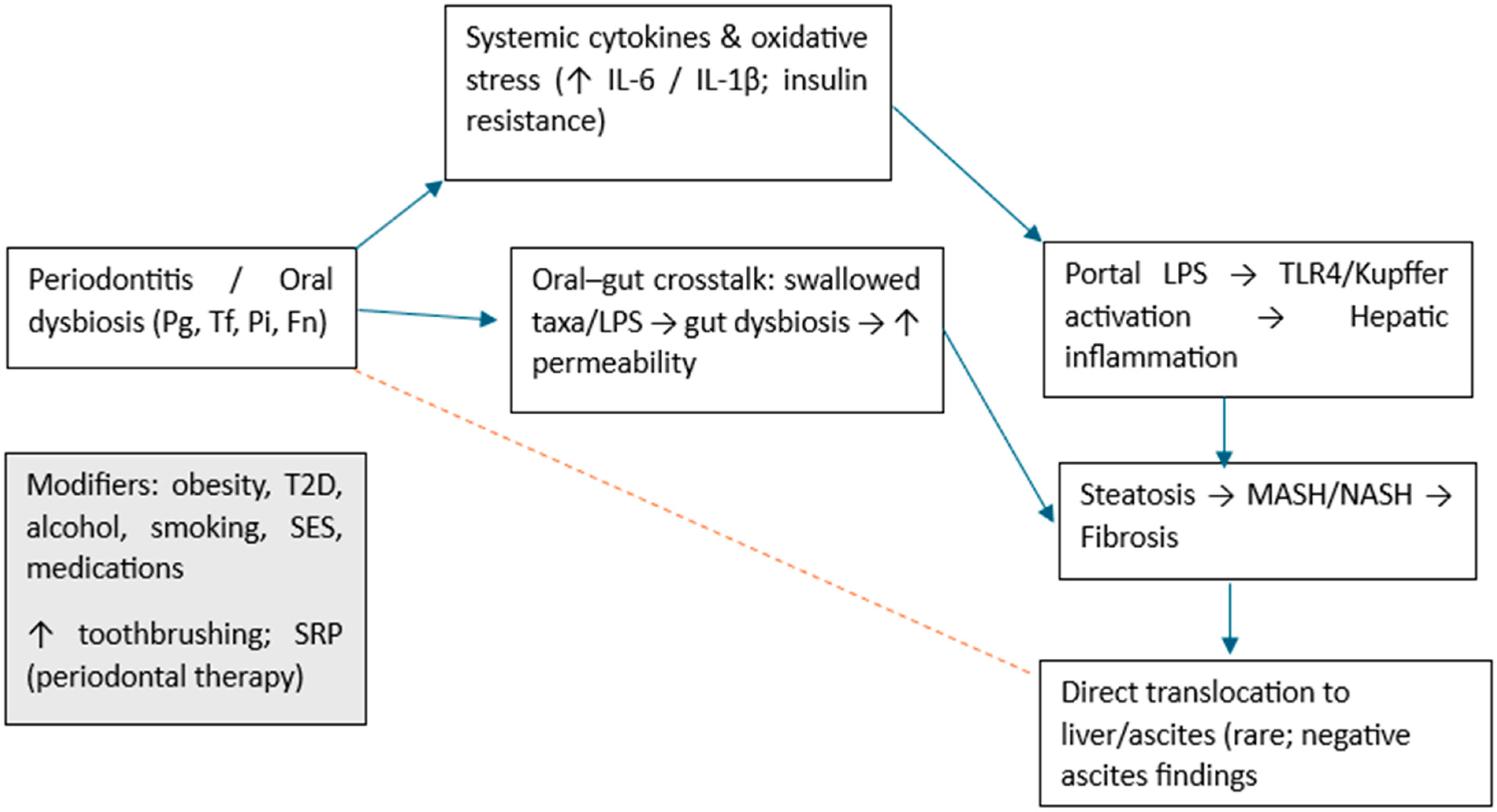 Dentistry 13 00503 g006