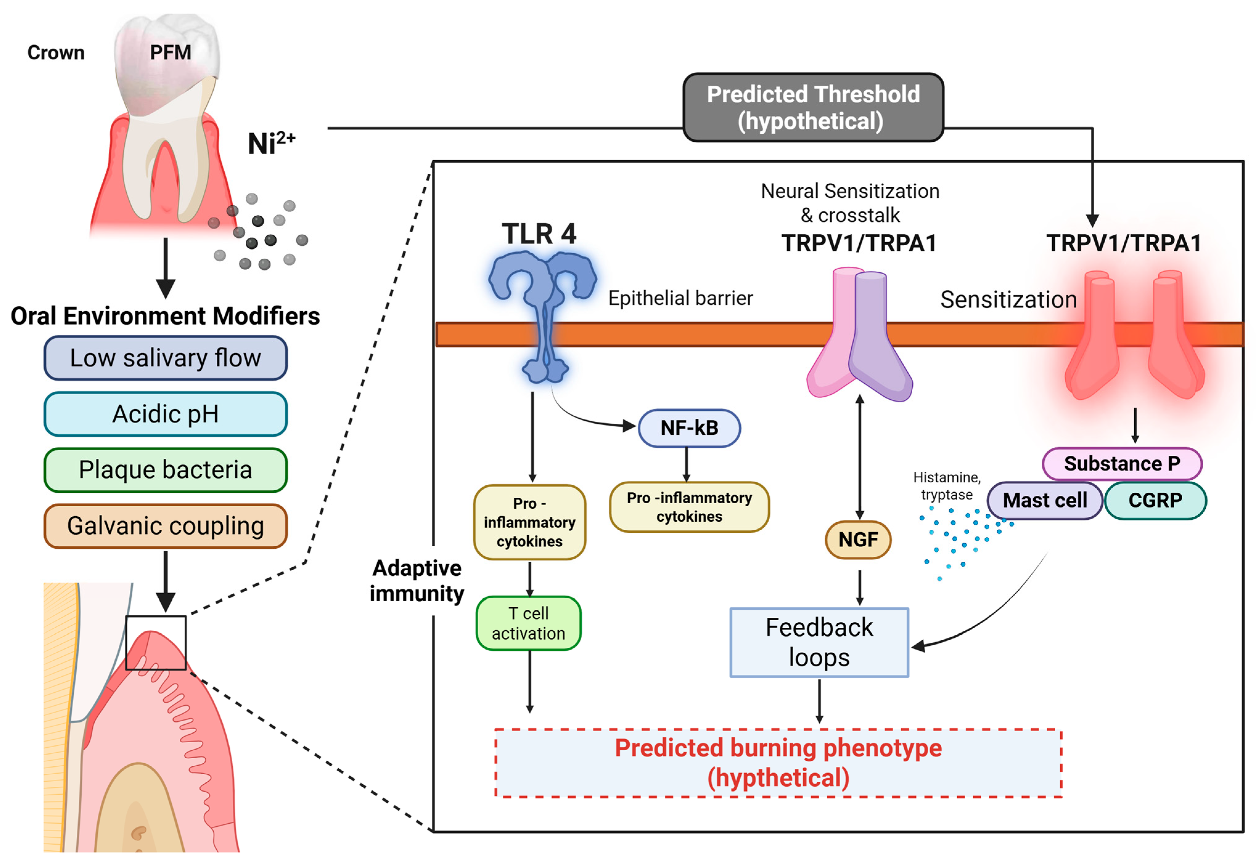 Dentistry 13 00507 g001