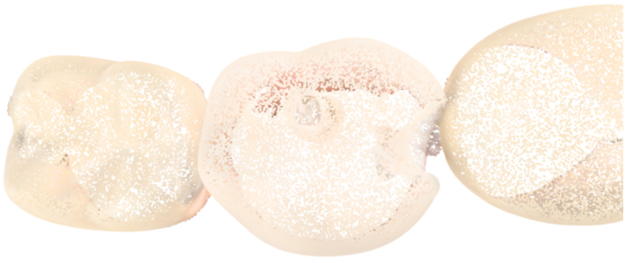 Dentistry 13 00531 g001