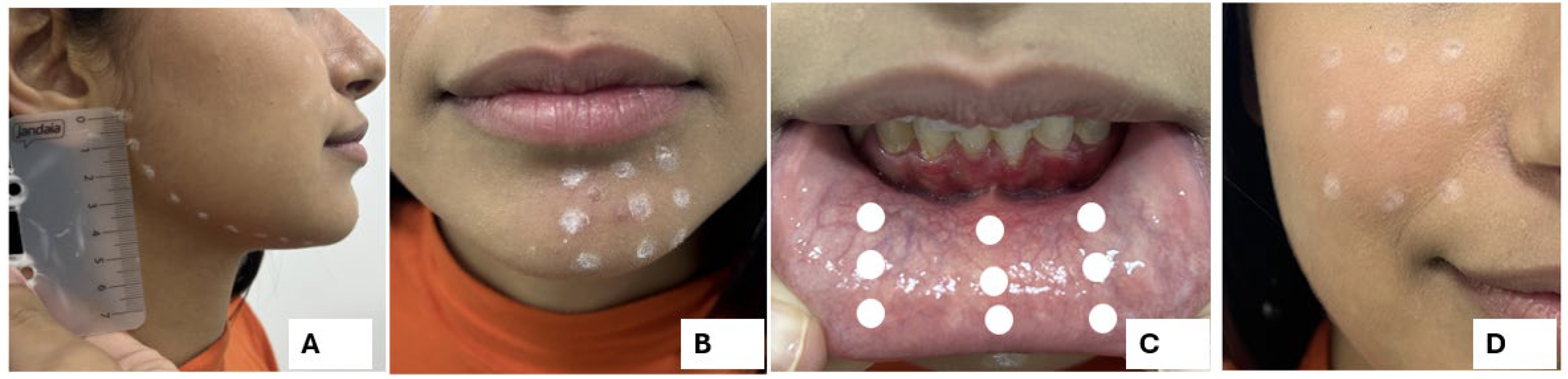 Dentistry 13 00532 g001