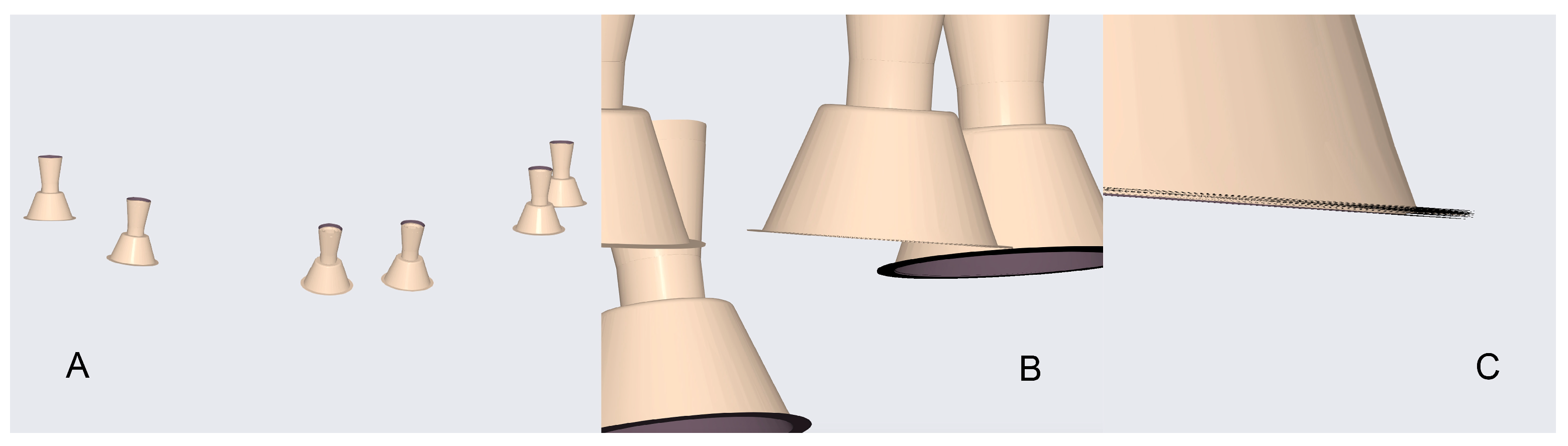 Dentistry 13 00533 g006 Dentistry 13 00533 g006