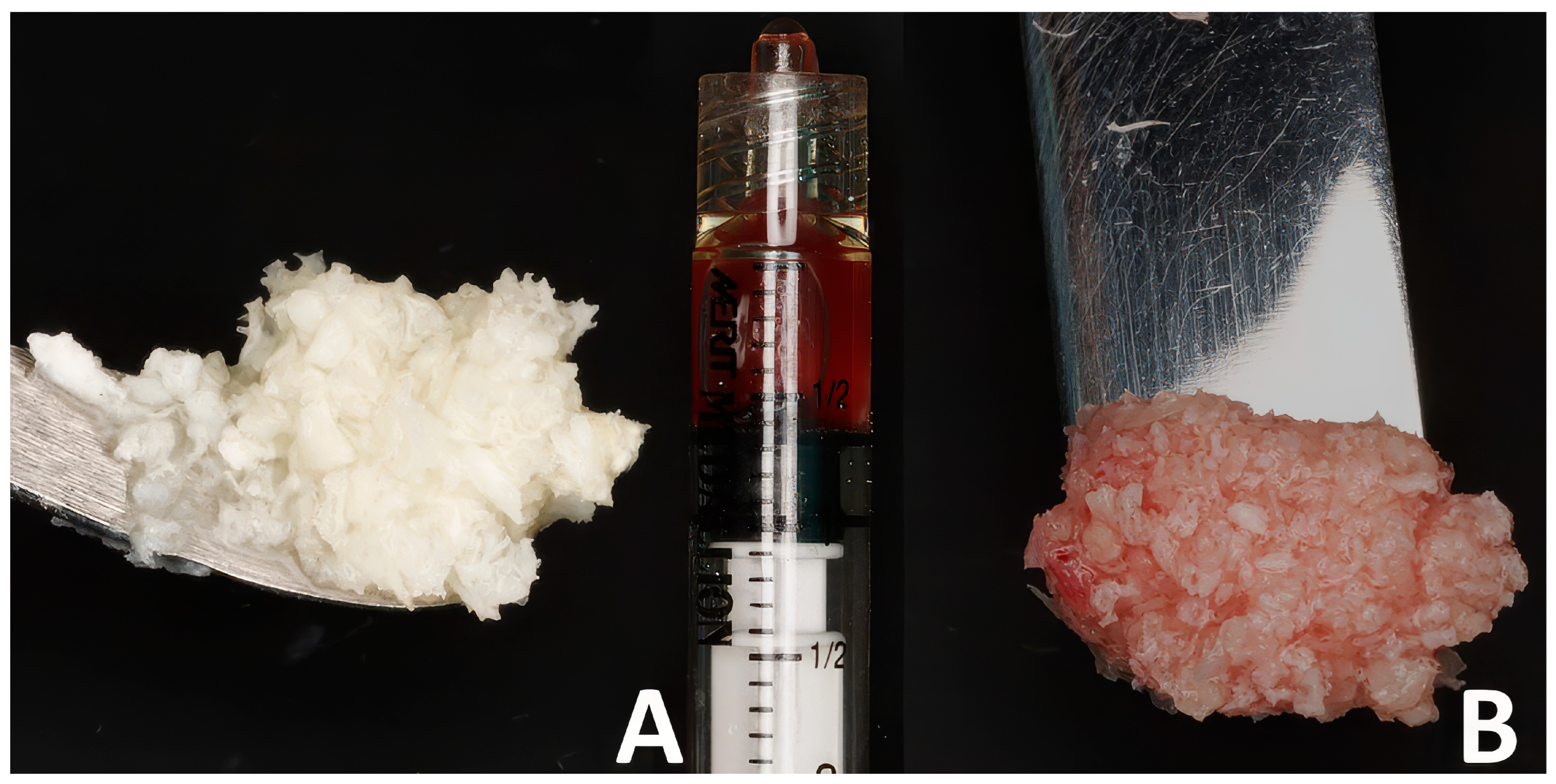 Dentistry 13 00545 g002 Dentistry 13 00545 g002