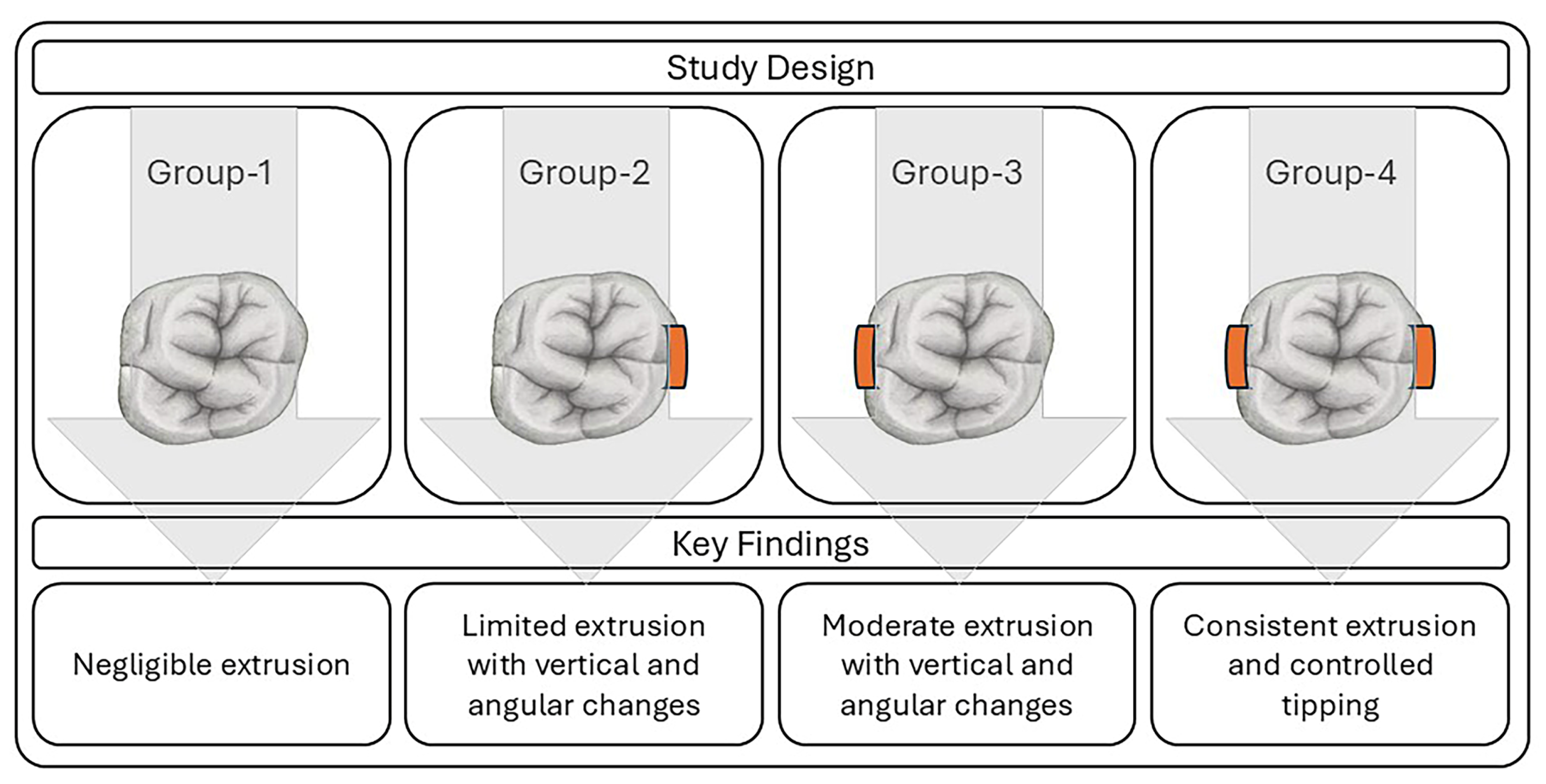 Dentistry 13 00551 g005