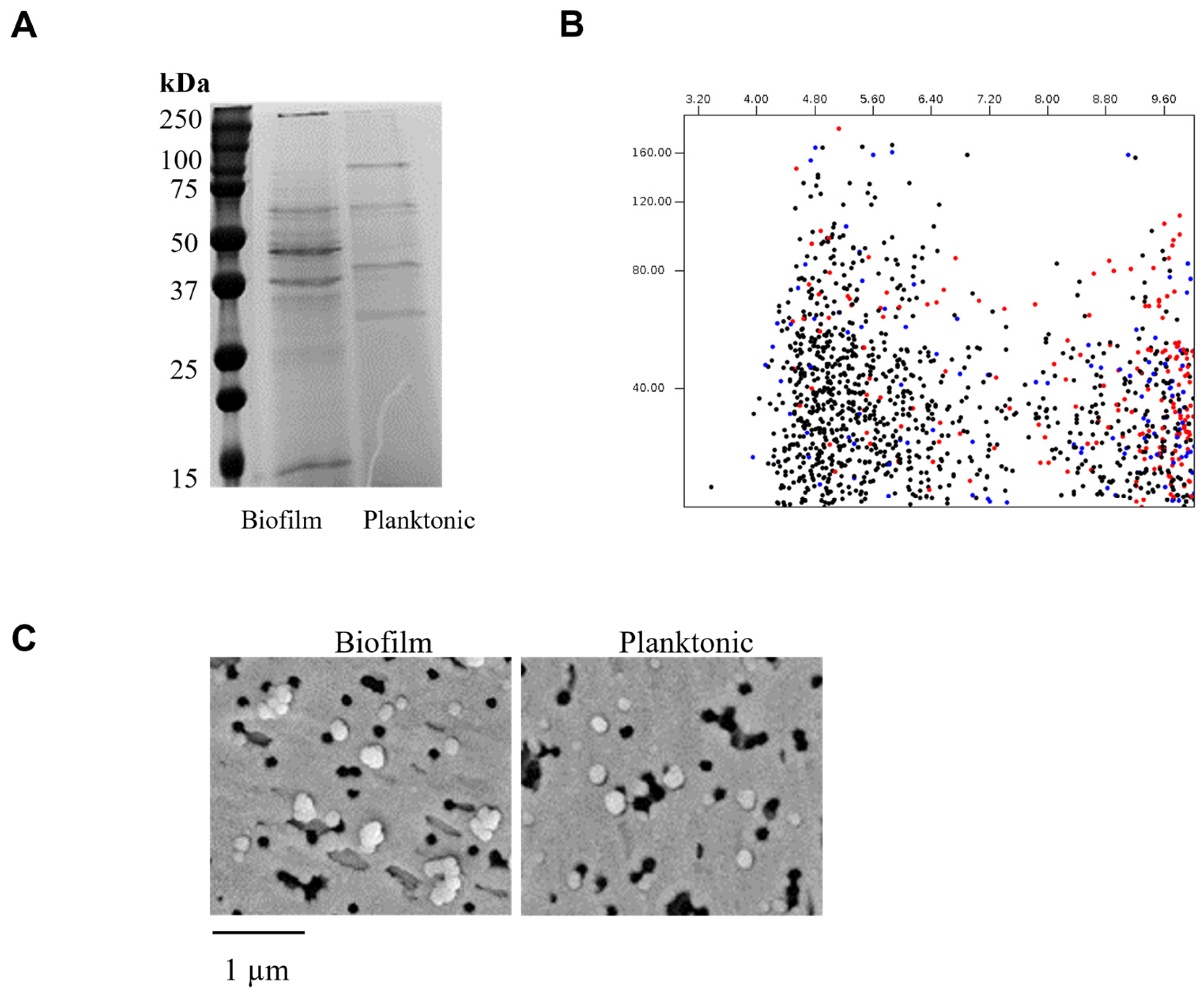 Dentistry 13 00557 g001
