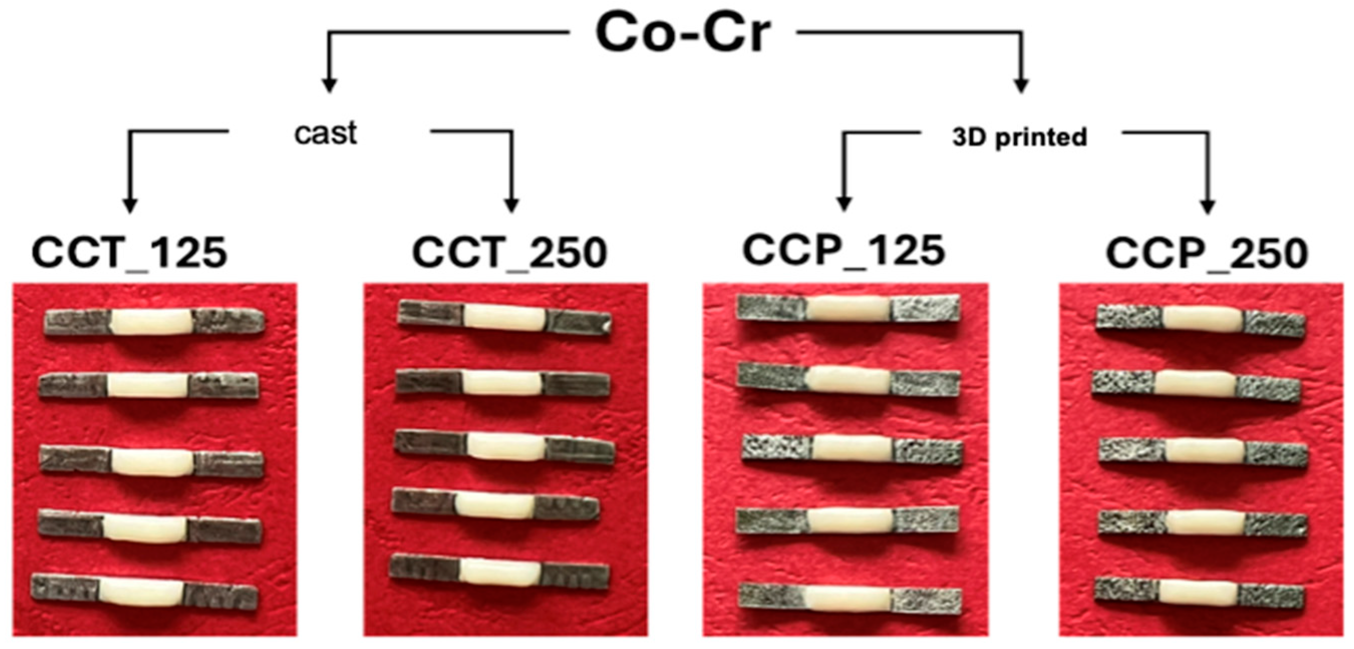 Dentistry 13 00583 g002