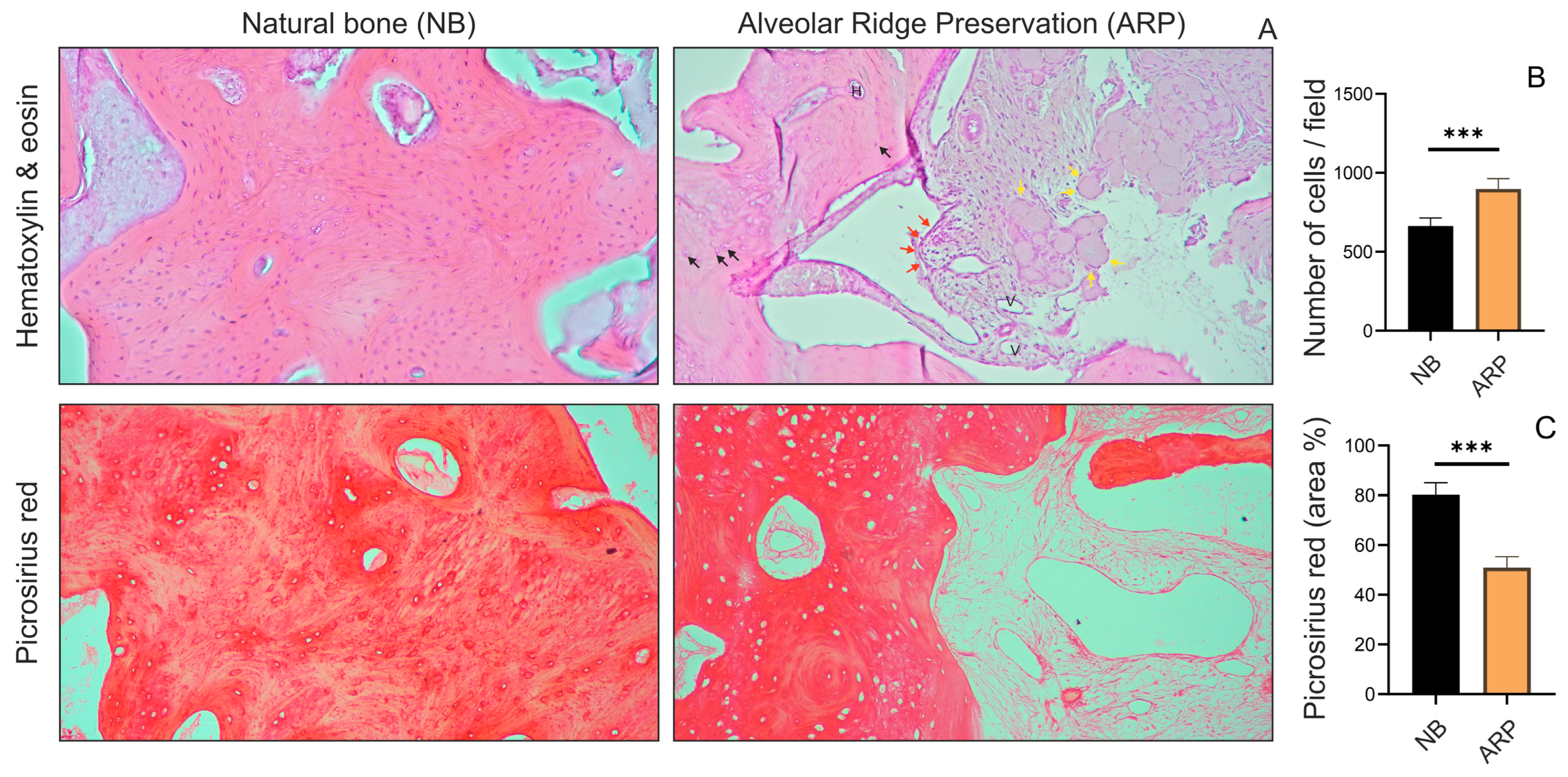 Dentistry 13 00585 g005