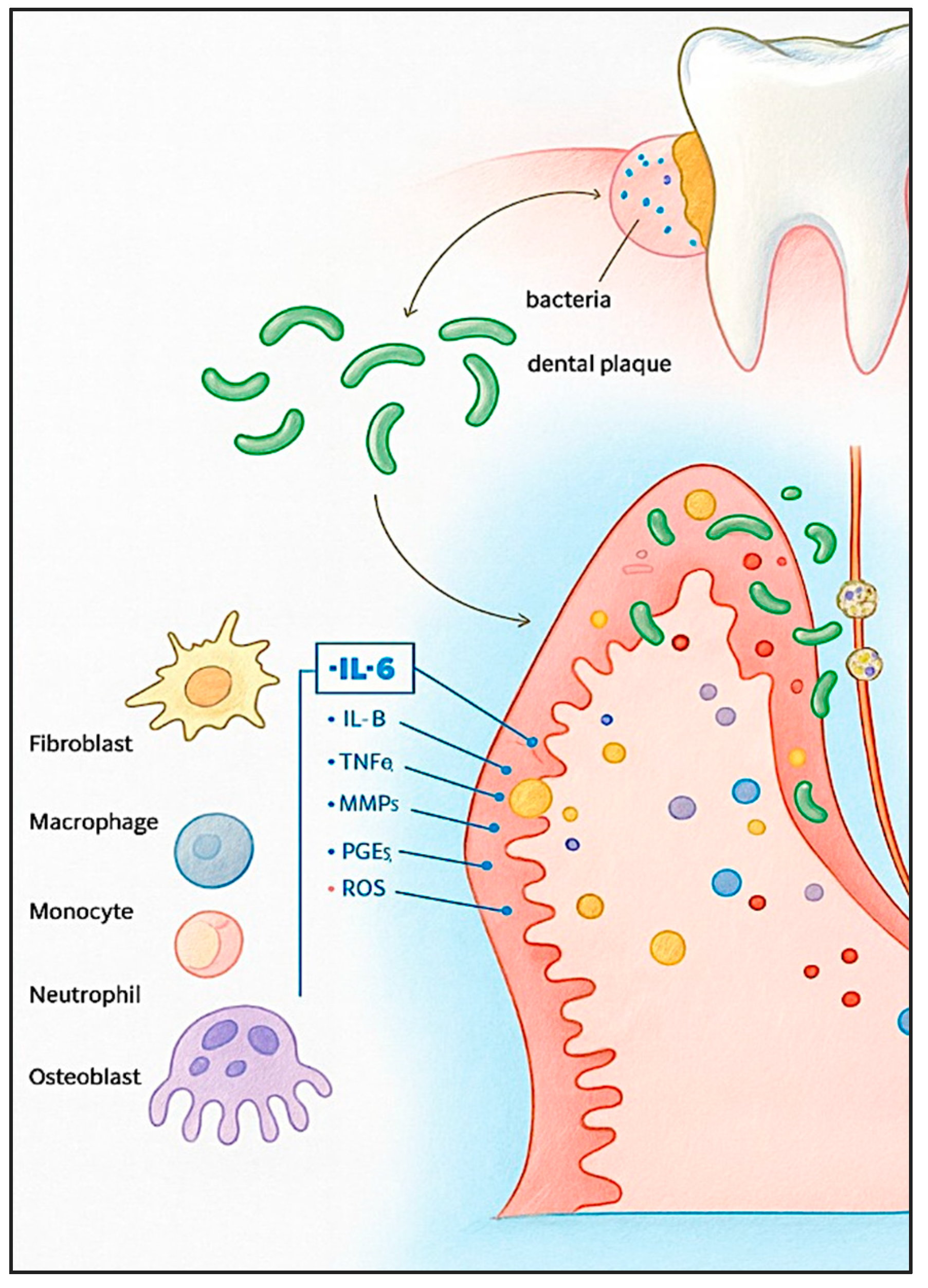 Dentistry 13 00591 g001